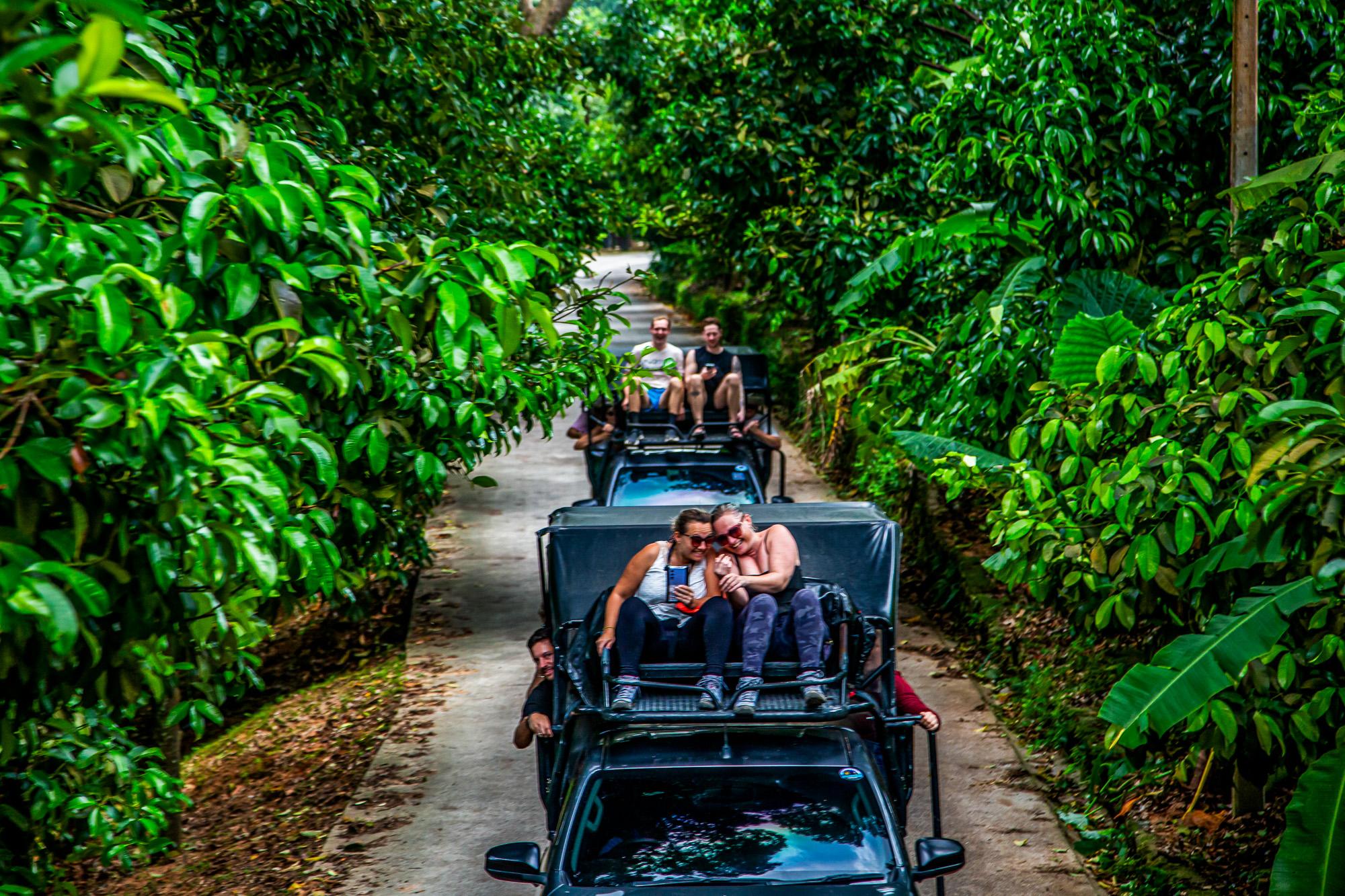 Koh Samui Jungle Adventure: Elephant Sanctuary & Waterfalls