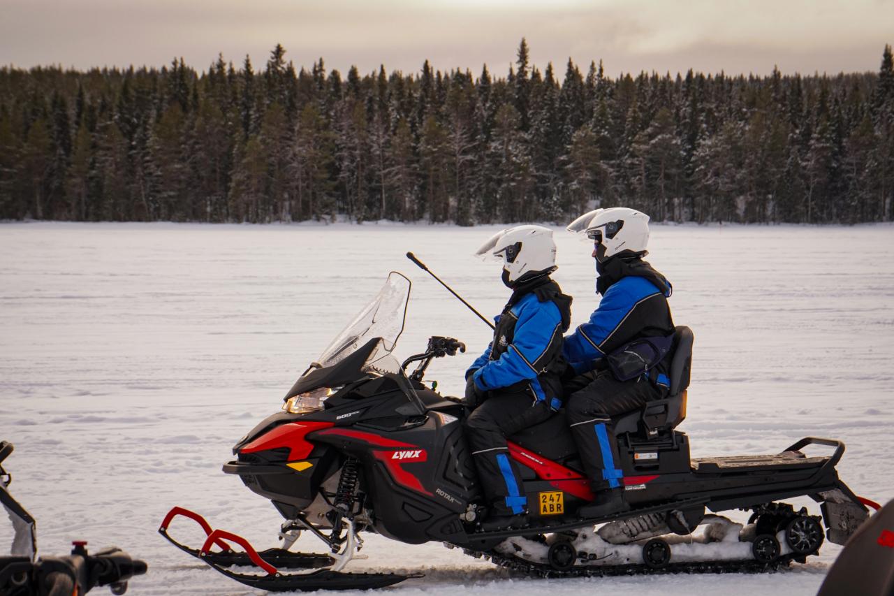 Rovaniemi Arctic Snowmobile Safari on Private Forest Trails