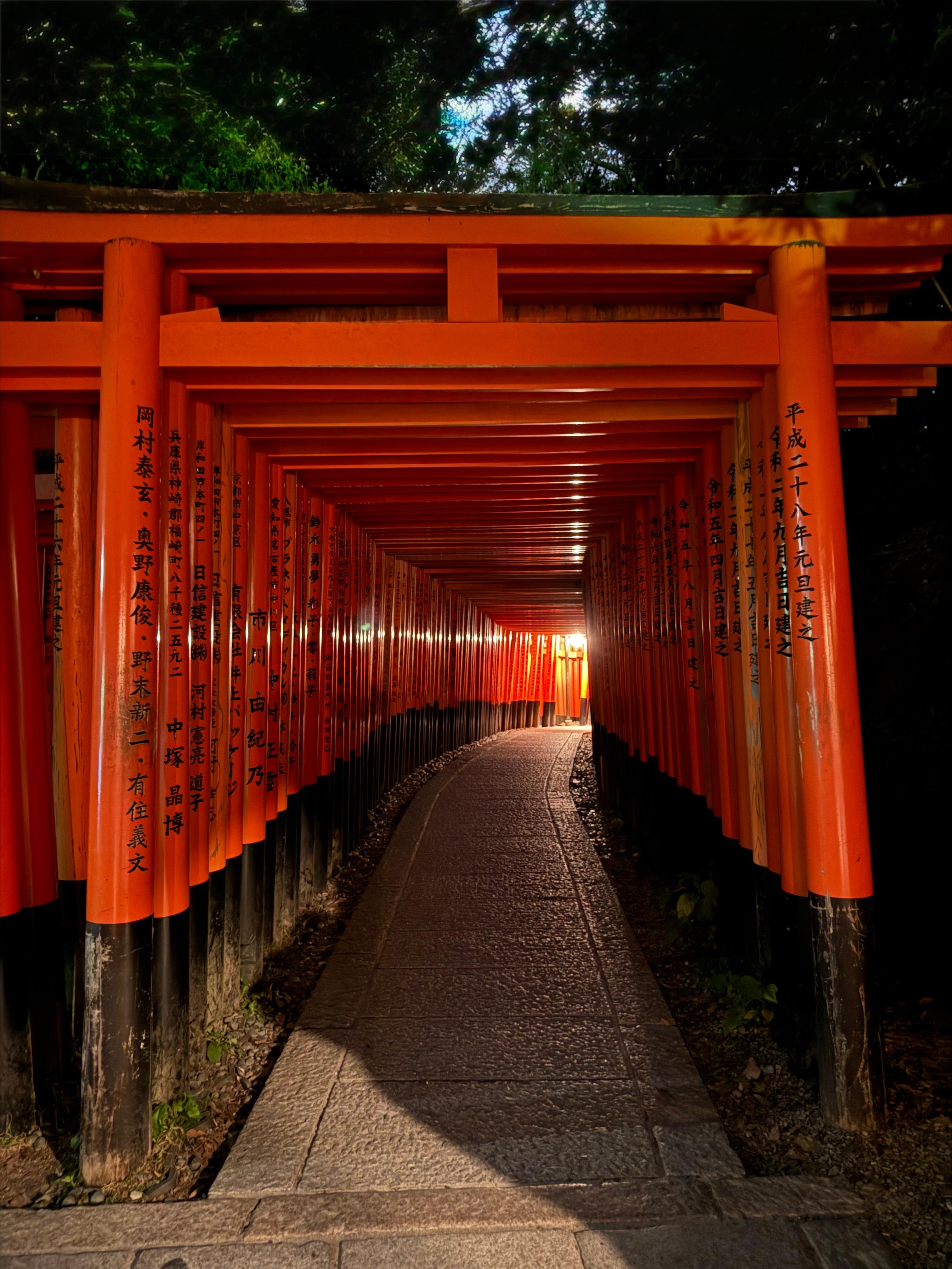 京都 伏見稲荷 夜のウォーキングツアー（ガイド付き）