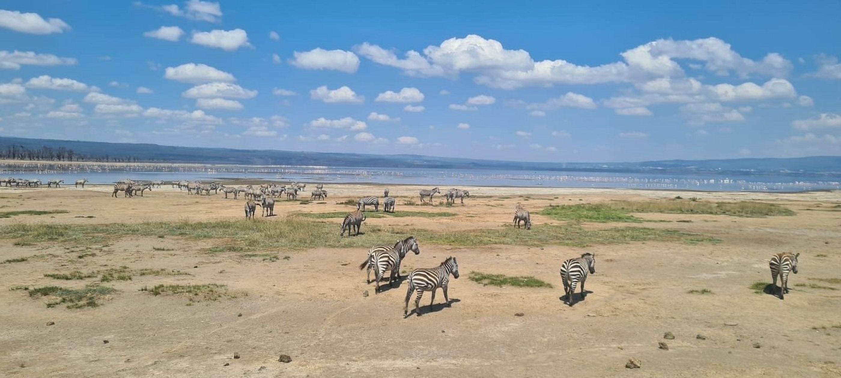 3-Day Maasai Mara Shared Jeep Safari from Nairobi