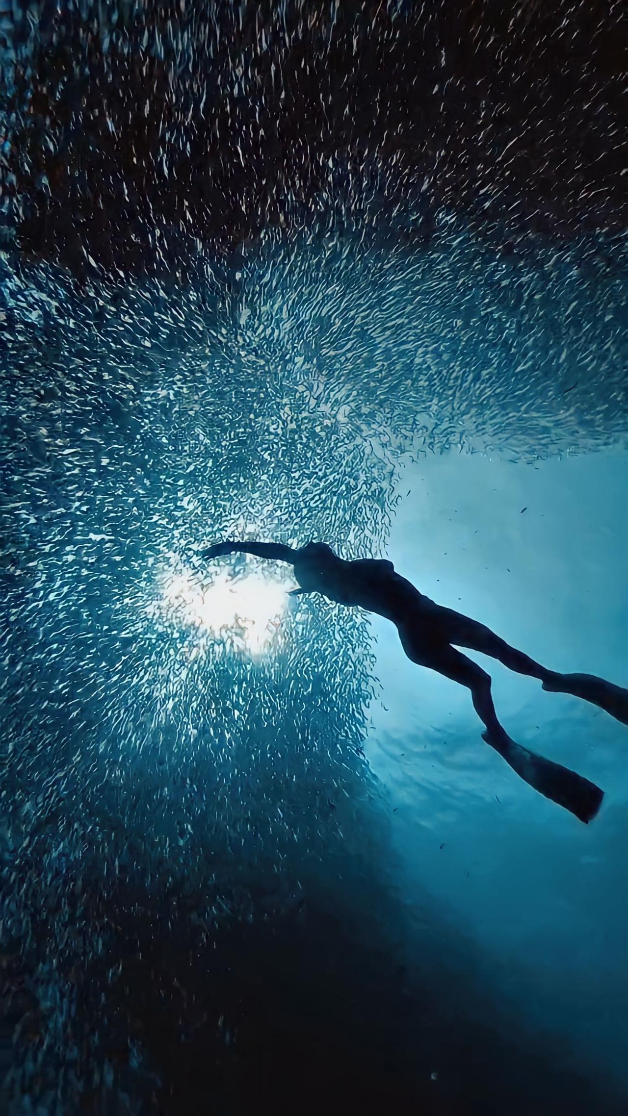 Moalboal Sardine Run & Kawasan Falls Canyoneering Day Tour from Cebu