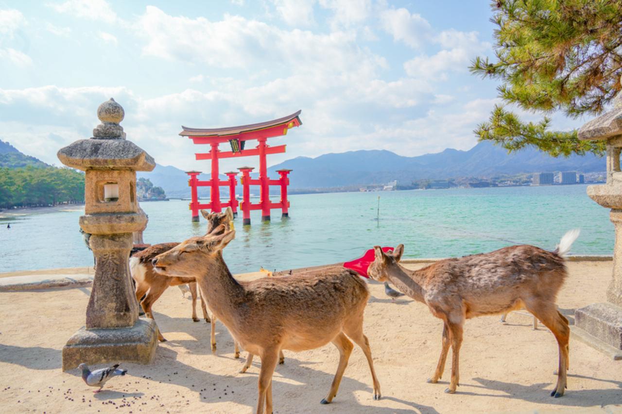 Hiroshima and Miyajima Guided Day Tour by Bullet Train