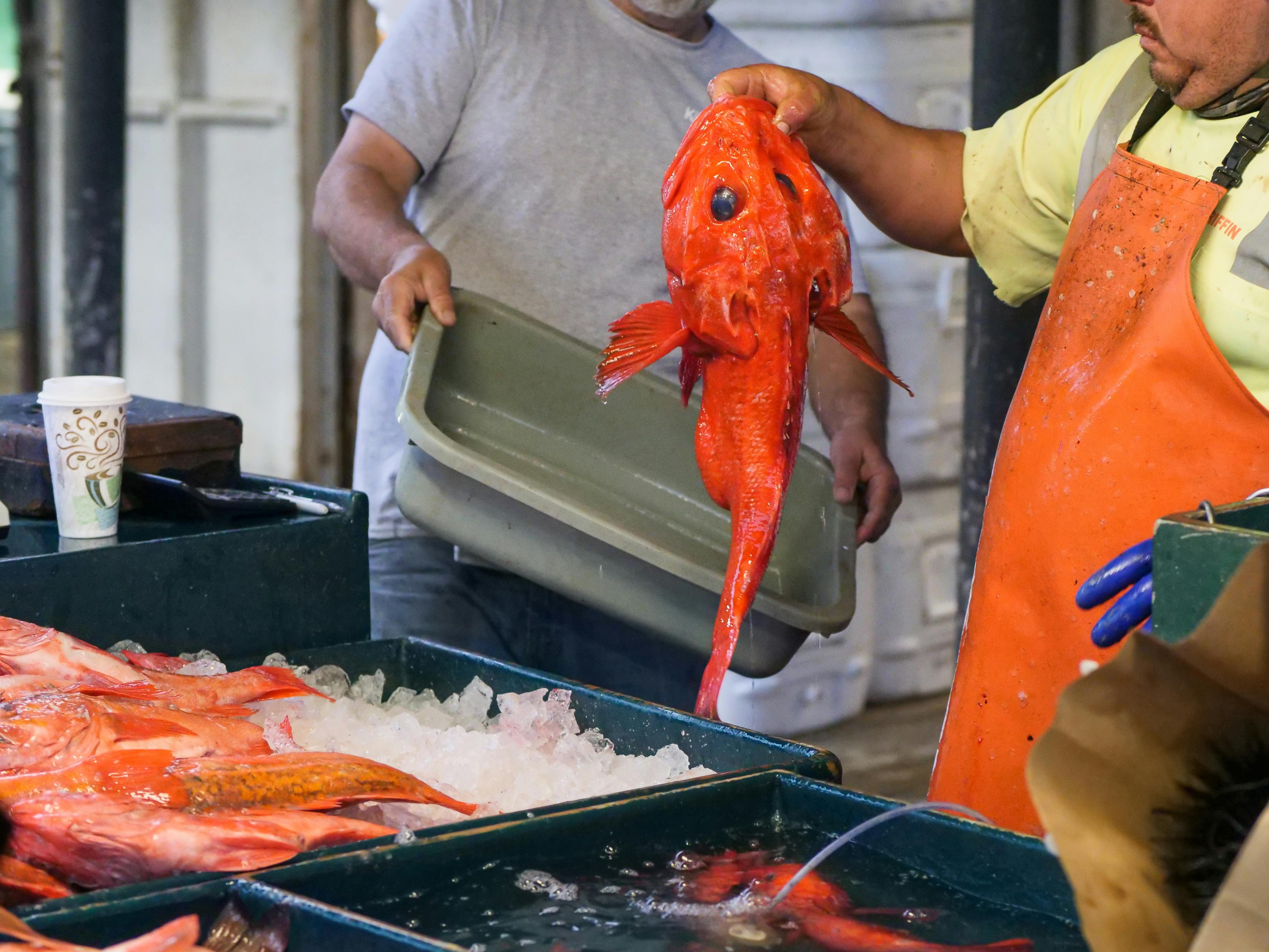 Portland Seafood Auction & Cultural Tasting Experience