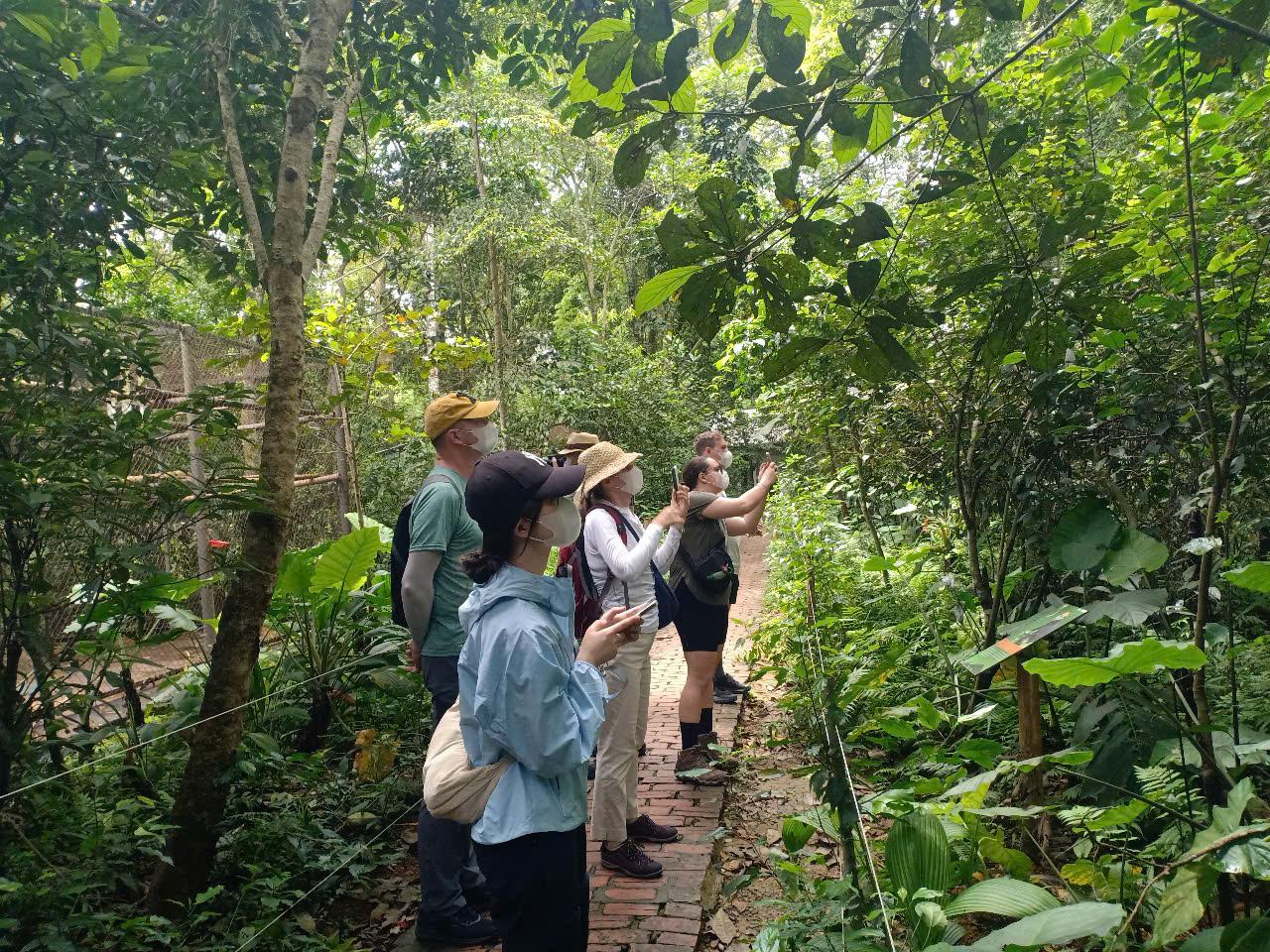 Cuc Phuong National Park: Jungle Trek & Wildlife Day Trip from Ninh Binh