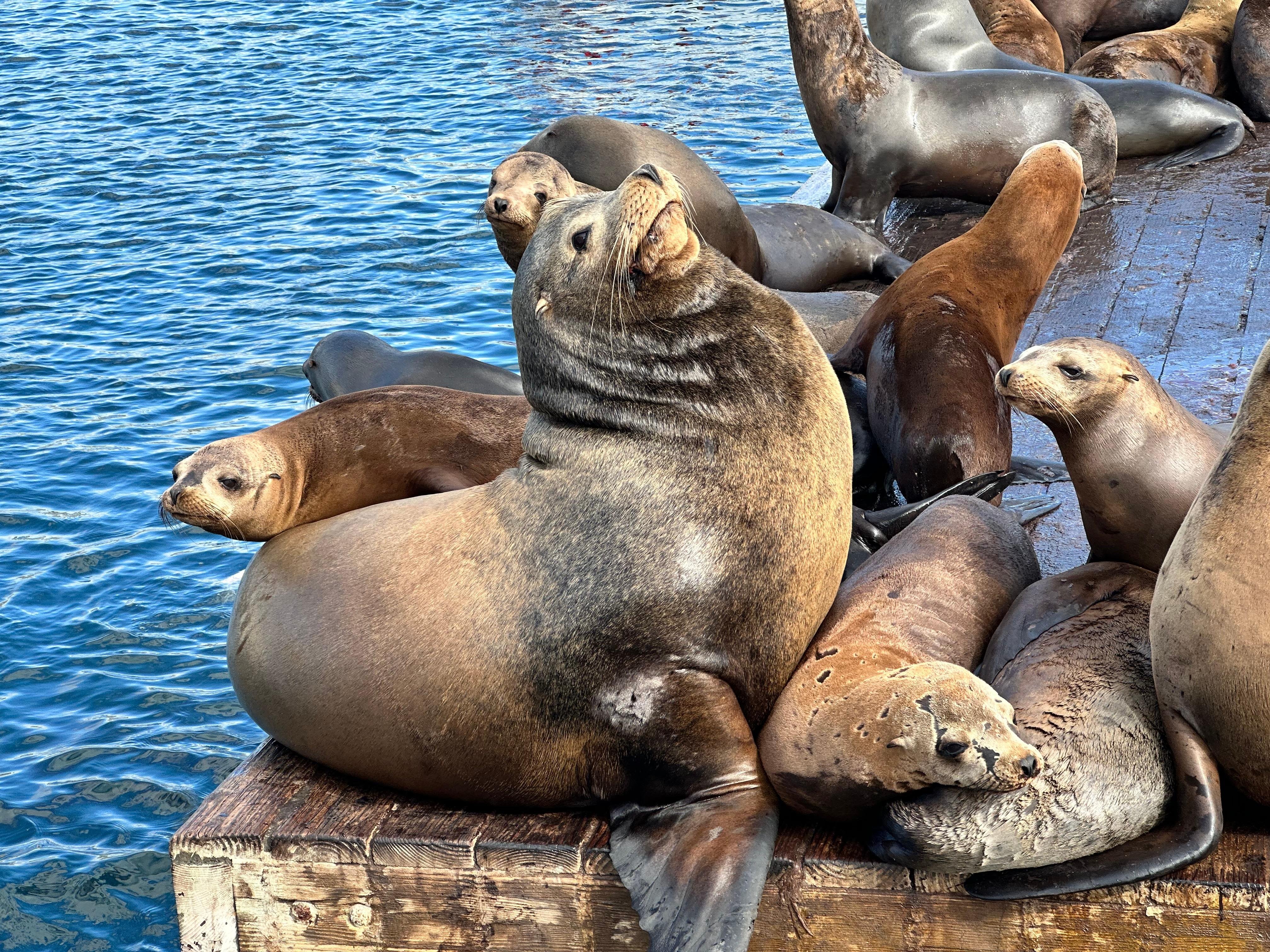 Redondo Beach Glass Bottom Boat Cruise
