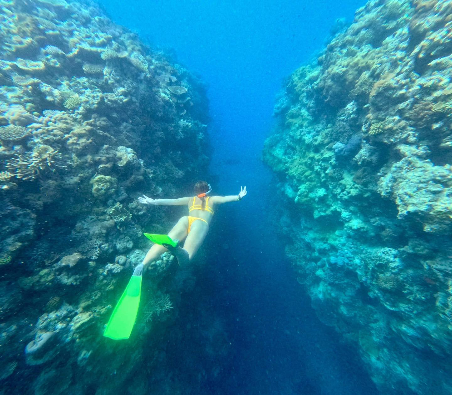 Airlie Beach: Great Barrier Reef & Whitehaven Beach Speedboat Day Tour