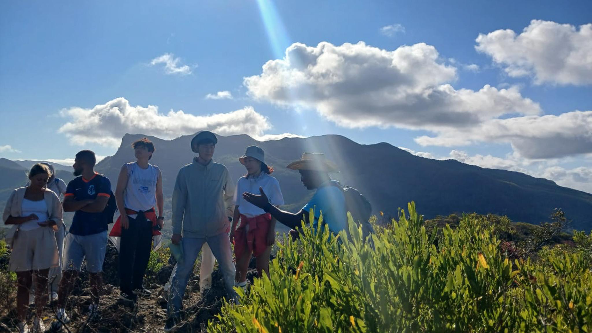 Le Morne Brabant Sunrise Trek with Local Coffee