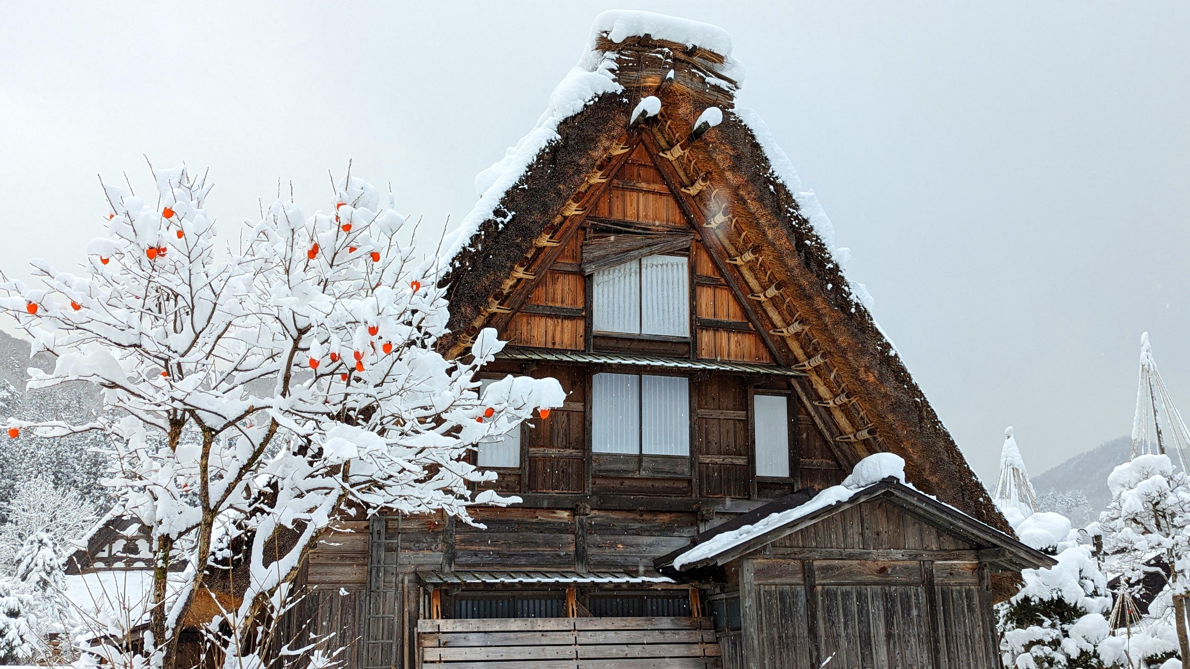 Things to do in Takayama - guided day with Shirakawa-go — image 1