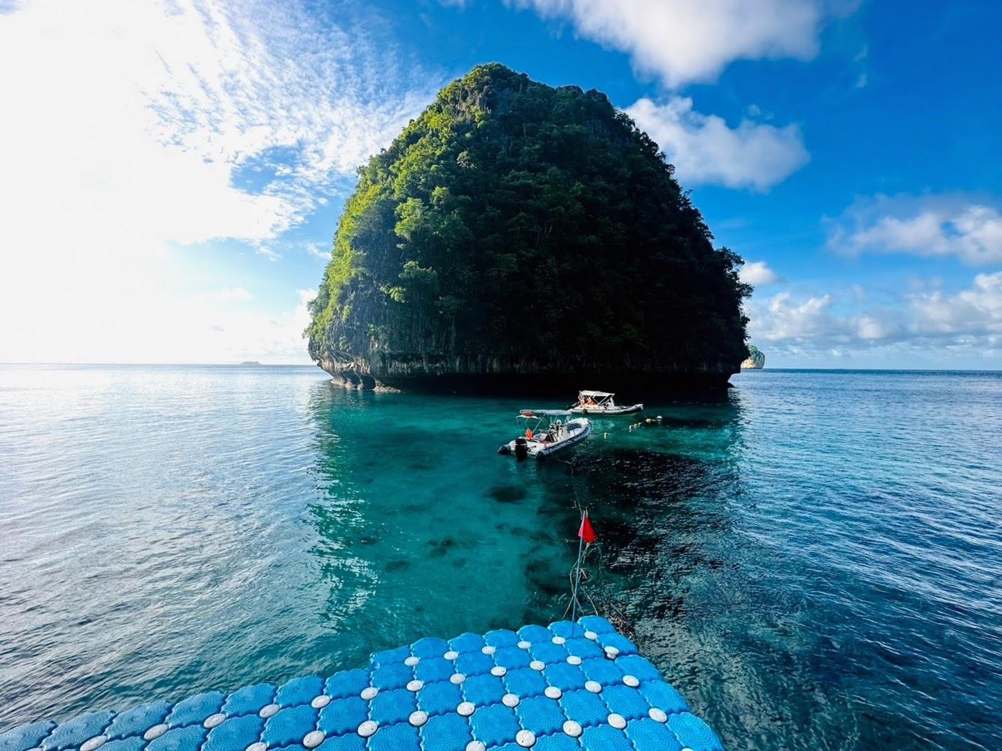 Krabi: Phi Phi Islands & Maya Bay Full-Day Speedboat Tour