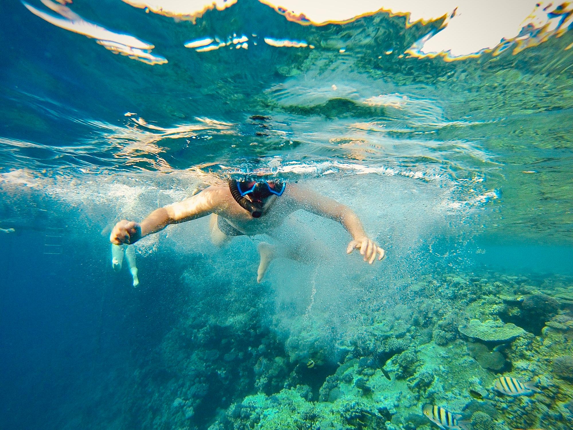 Red Sea Yacht Snorkeling Adventure from Cairo