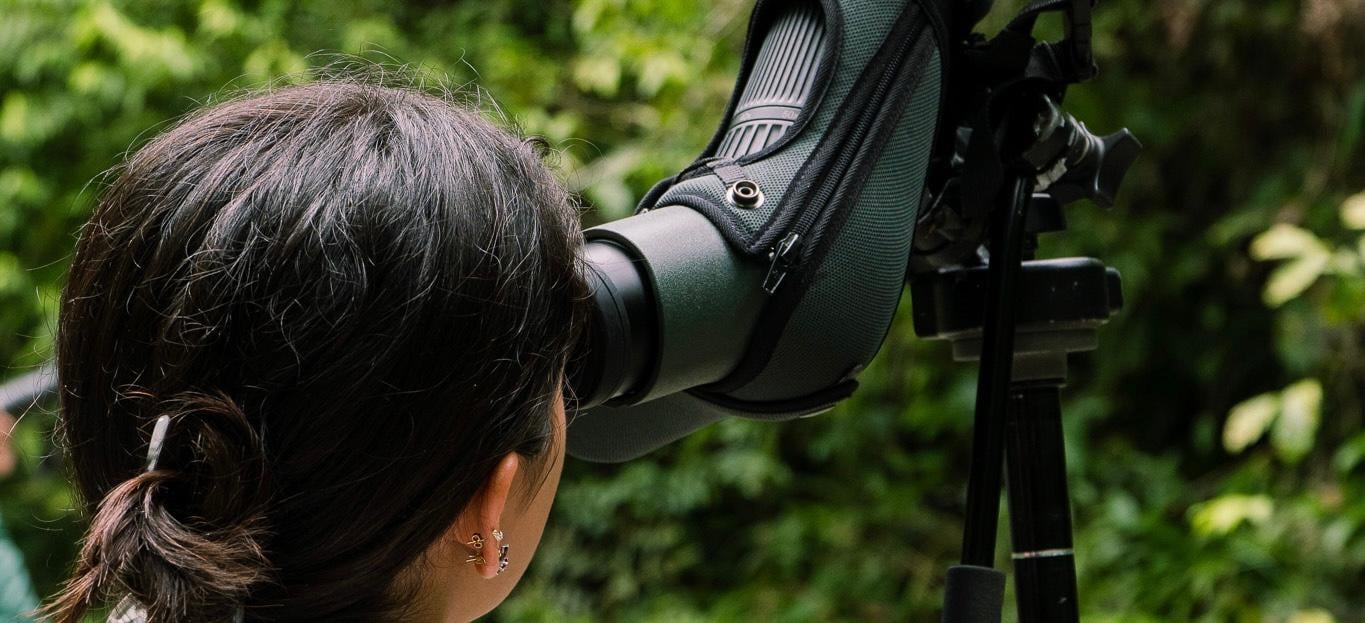 Manuel Antonio National Park: Naturalist-Led Wildlife Walking Tour