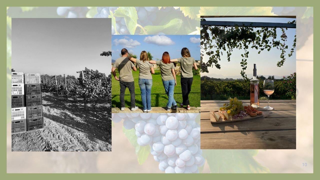 wine tour in Mallorca — Mallorca: Bodega Butxet Vineyards & Winery Tour with Tasting - 2026 (Verified Reviews)