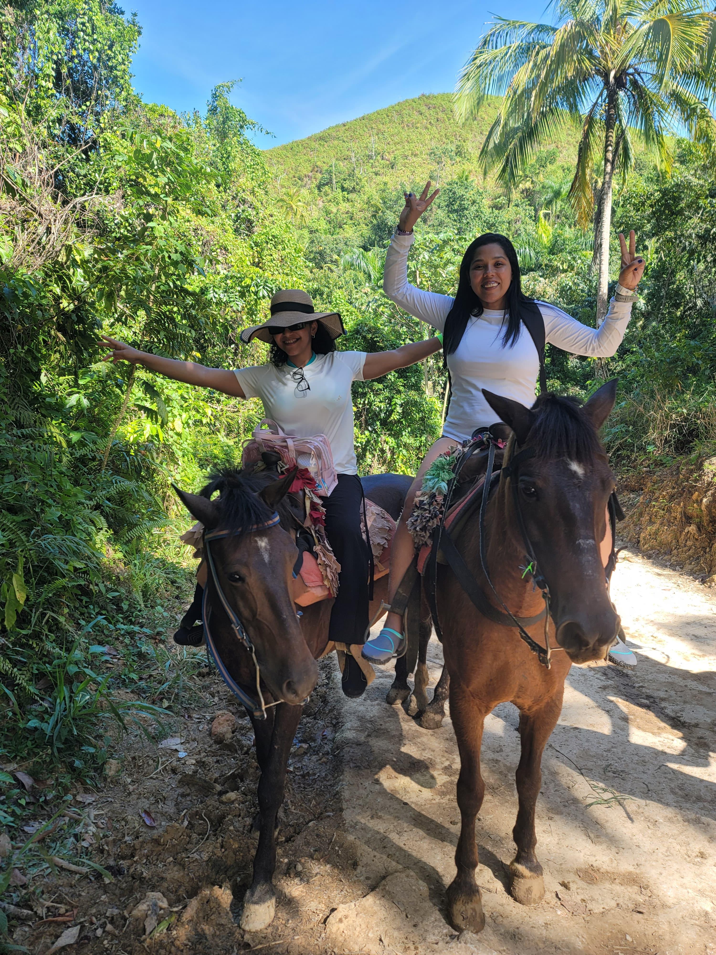 Samaná Bay & El Limón Waterfall Full-Day Adventure