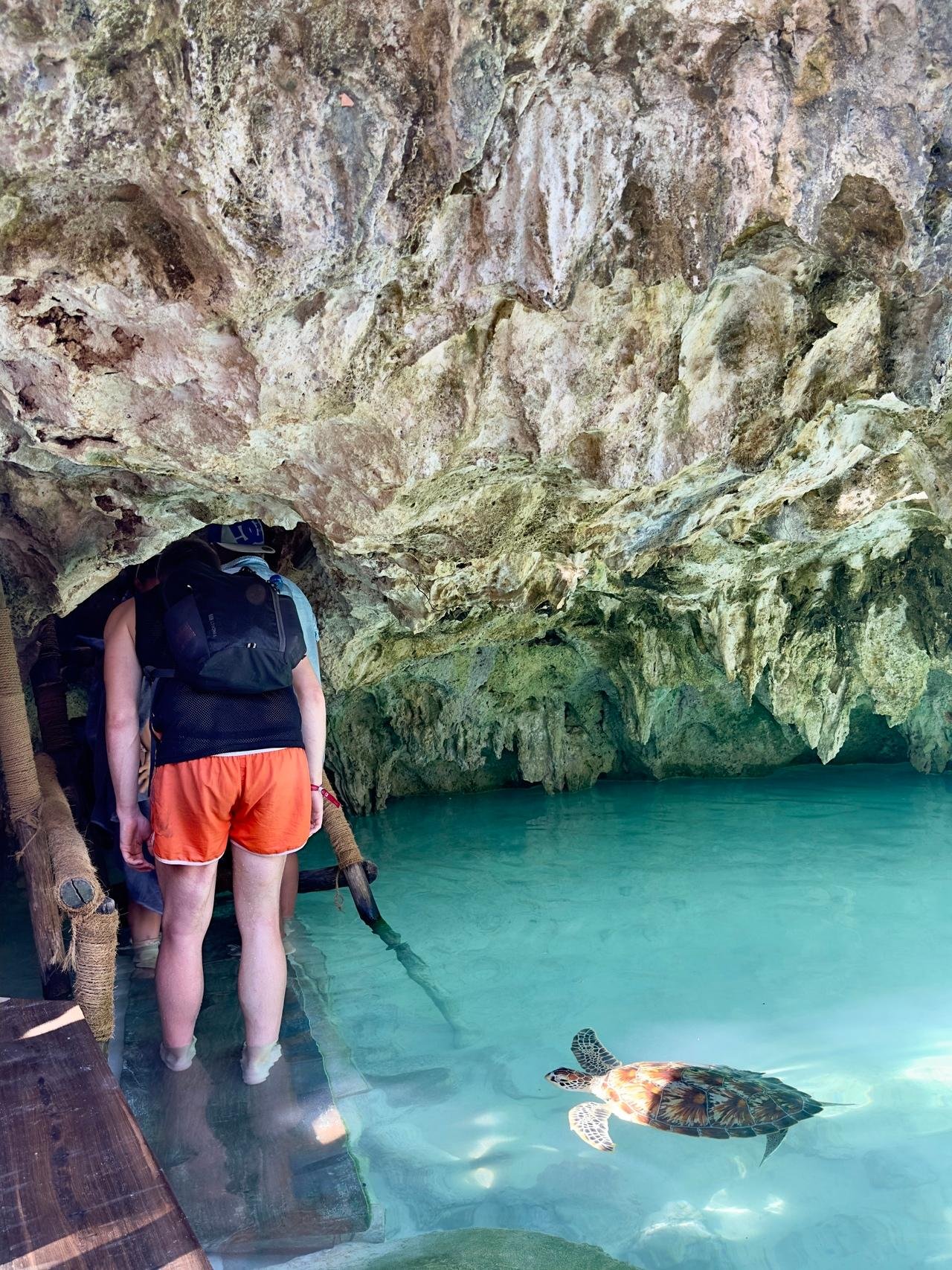 Zanzibar: Swim with Sea Turtles at Salaam Cave, Kizimkazi