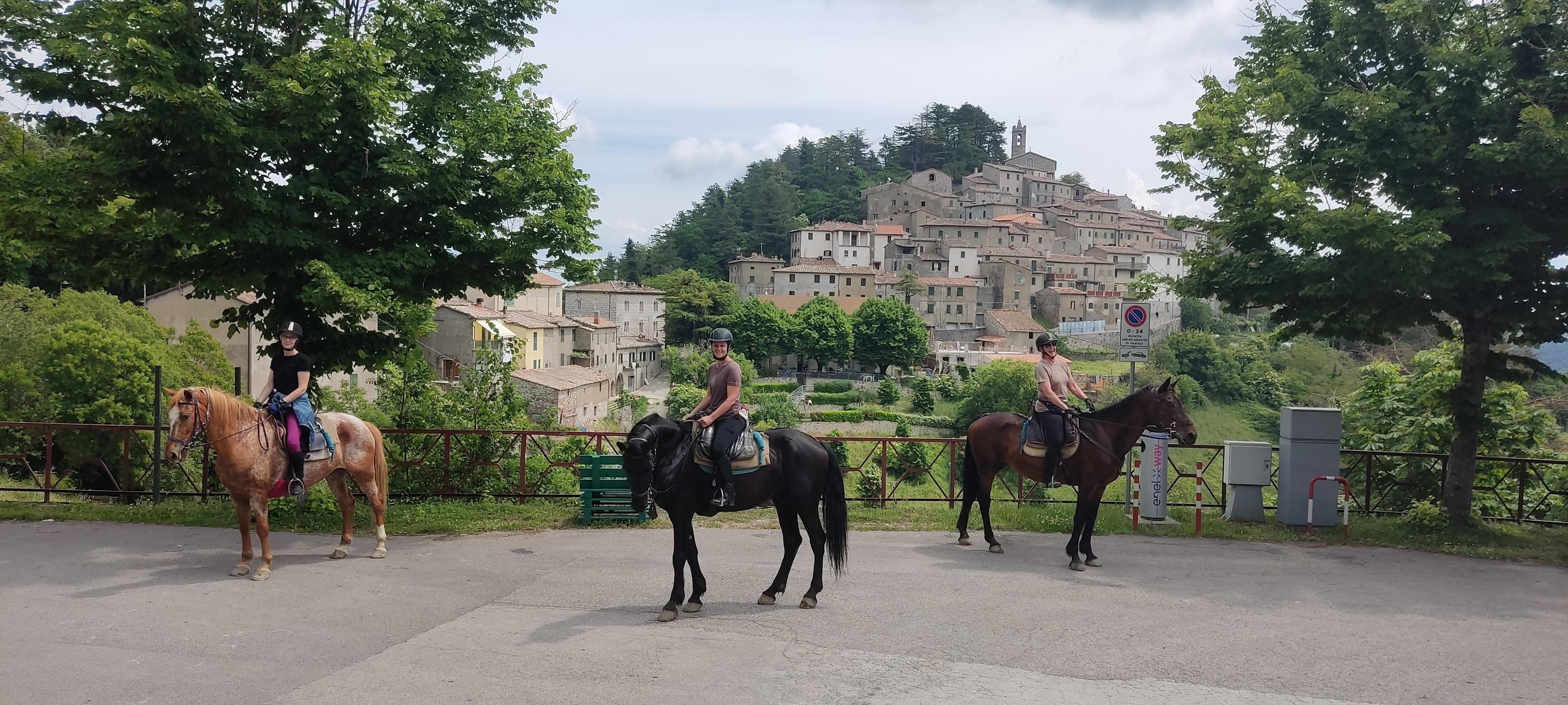 Full-Day Tuscan Trail Ride for Advanced Riders