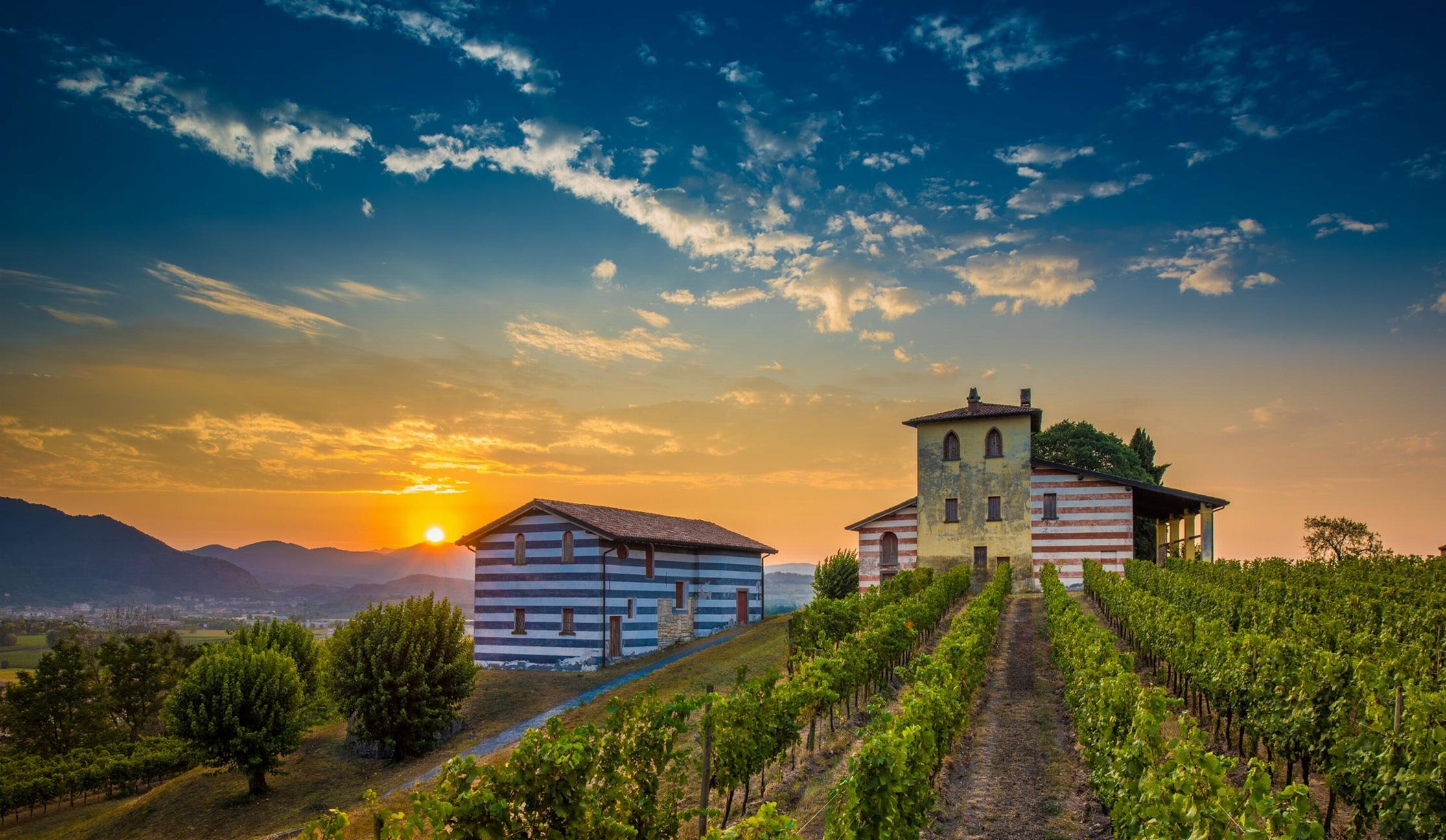 Franciacorta Wine & Bergamo Medieval Town Day Tour from Milan
