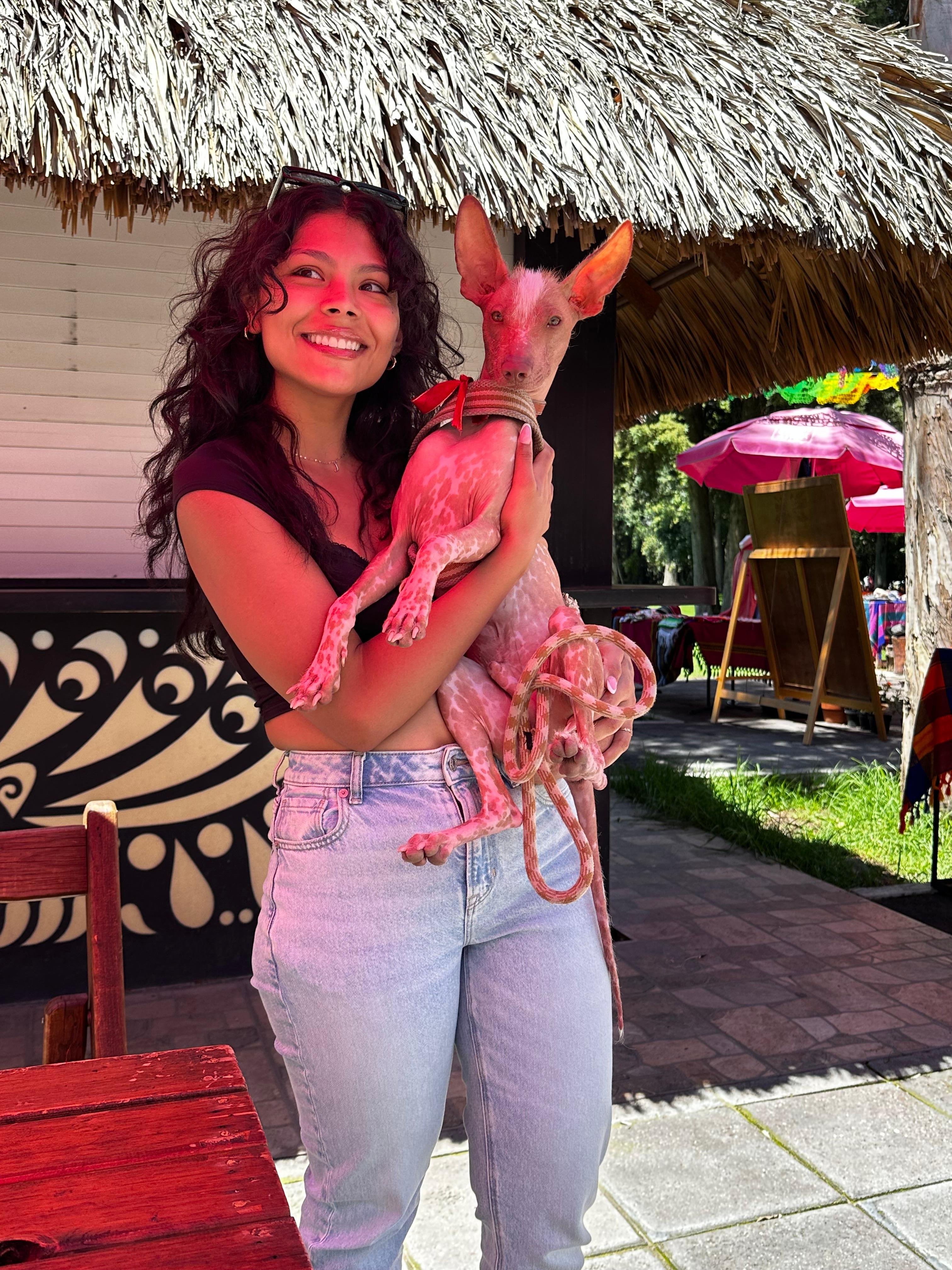 Private Teotihuacan Pyramids & Guadalupe Basilica Excursion