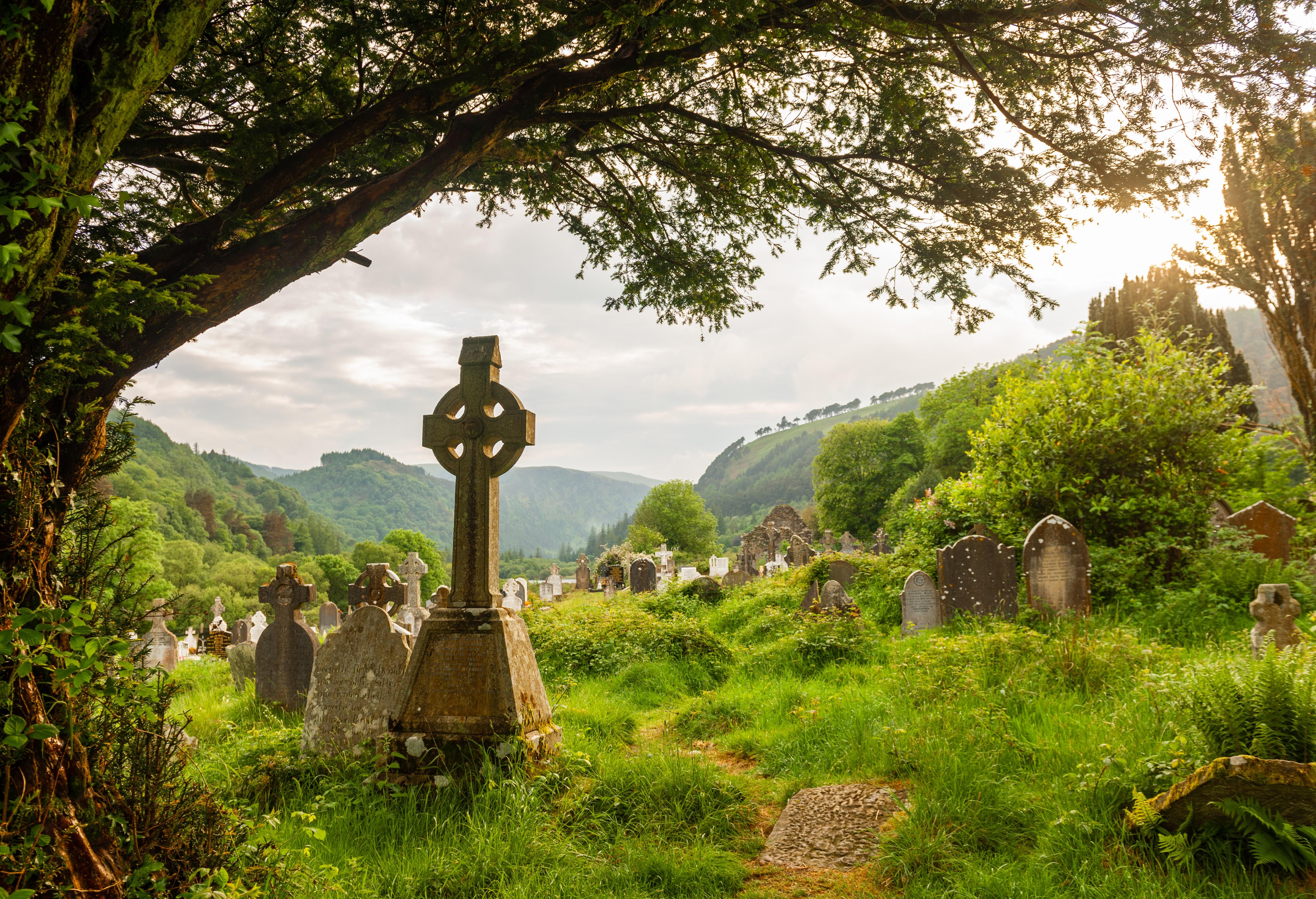 Dublin to Ireland's Scenic South-East: 5-Day Guided Journey