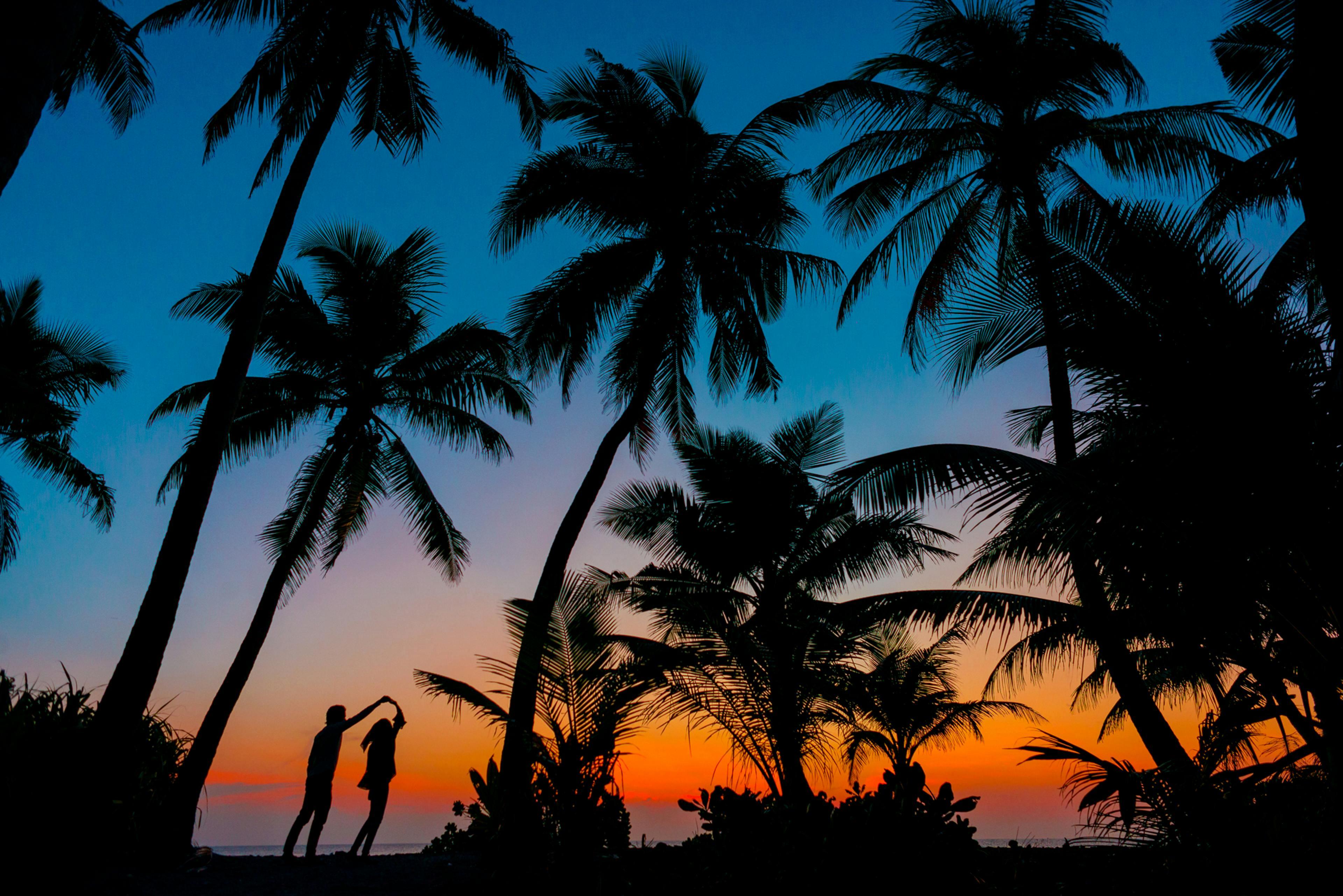 6-Day Kerala Backwaters and Houseboat Private Expedition