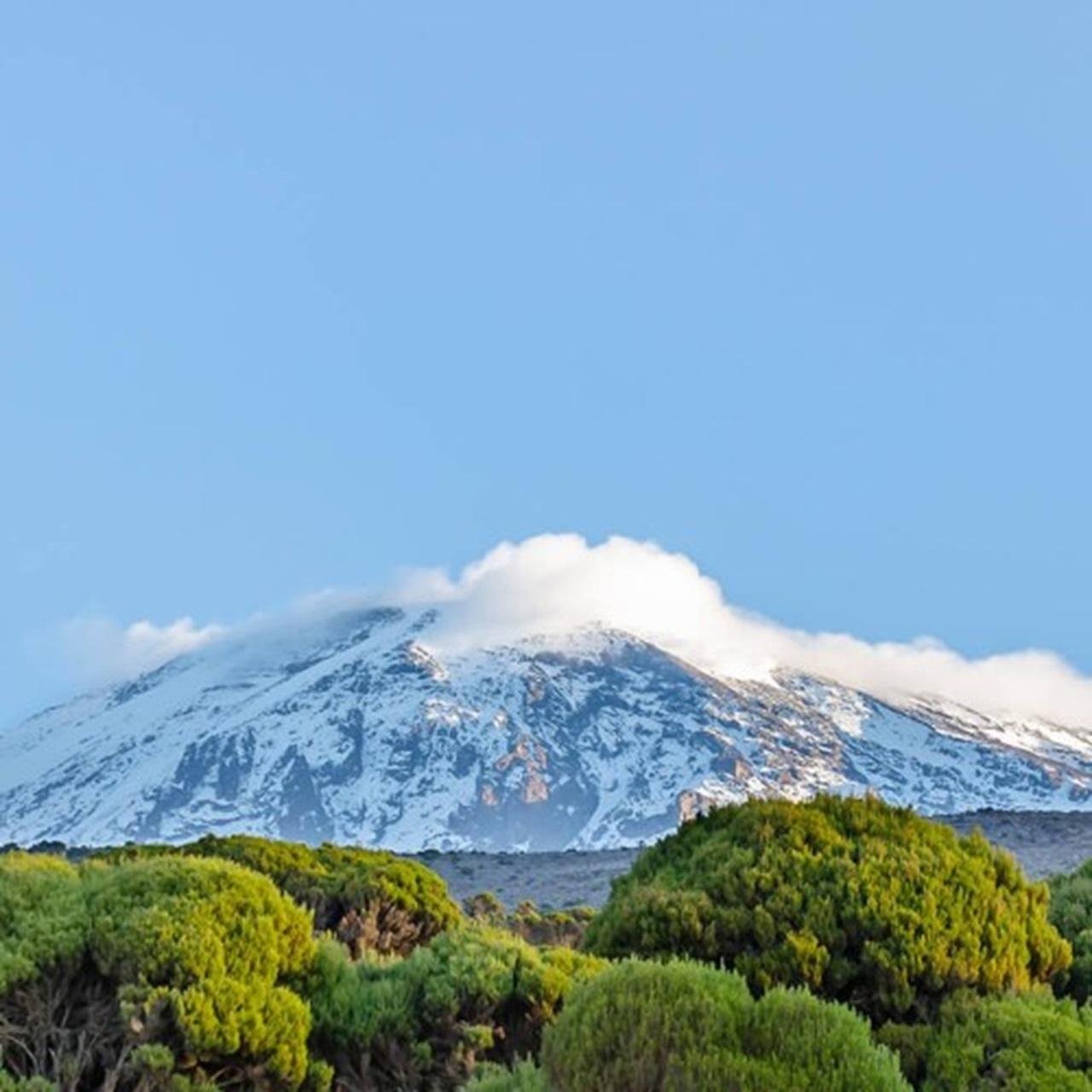 Kilimanjaro Day Hike via Machame Route