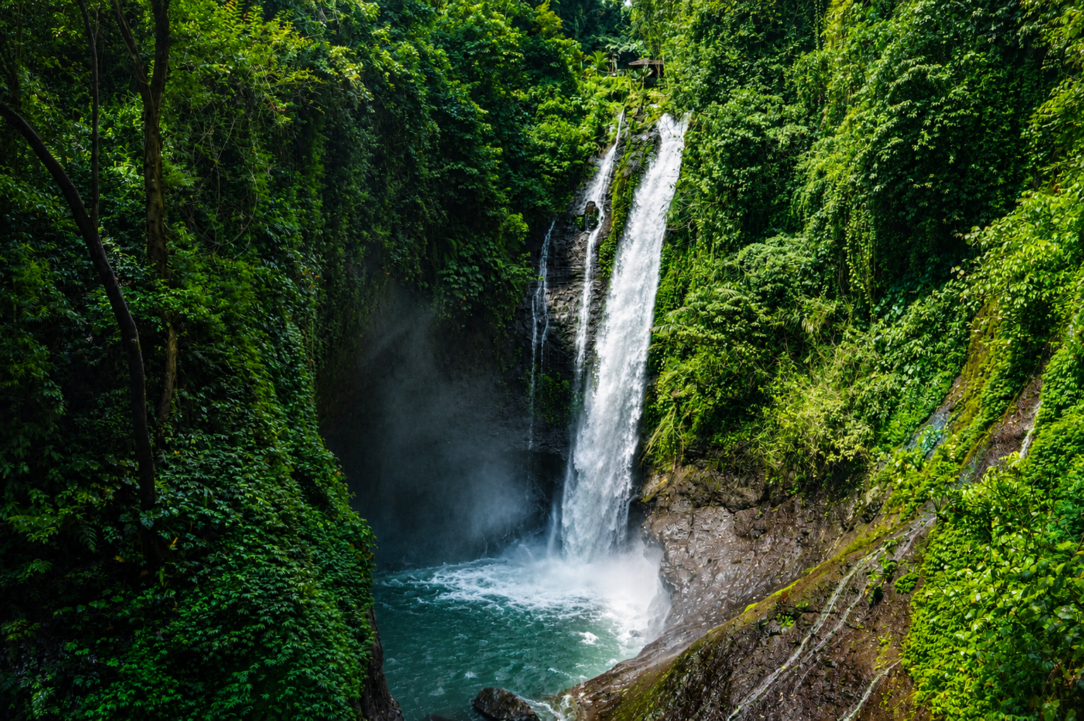 North Bali Dolphin Swim & Waterfall Adventure