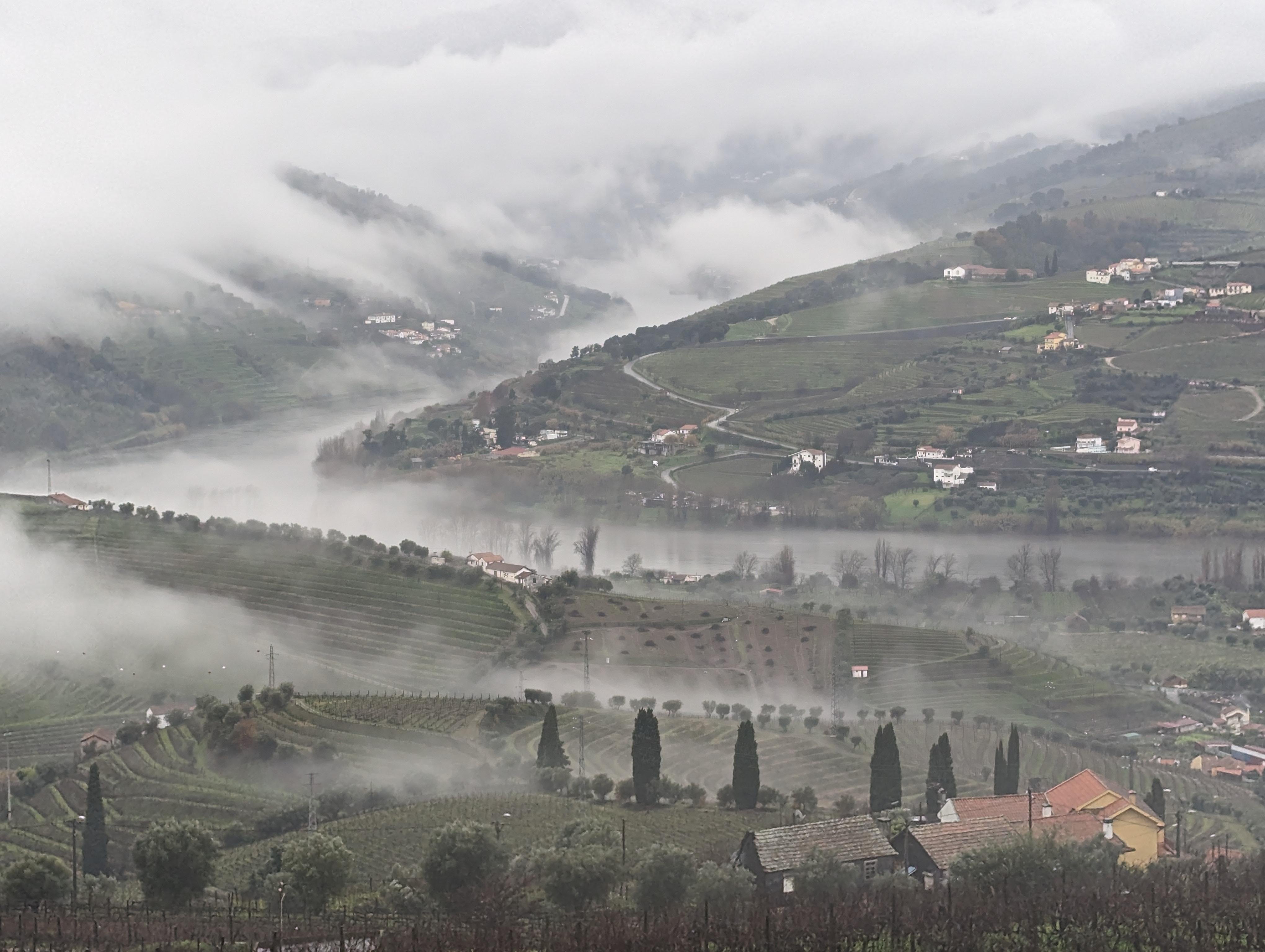Porto: Douro Valley & Vinho Verde Day Tour with Tastings, Lunch & Boat Cruise