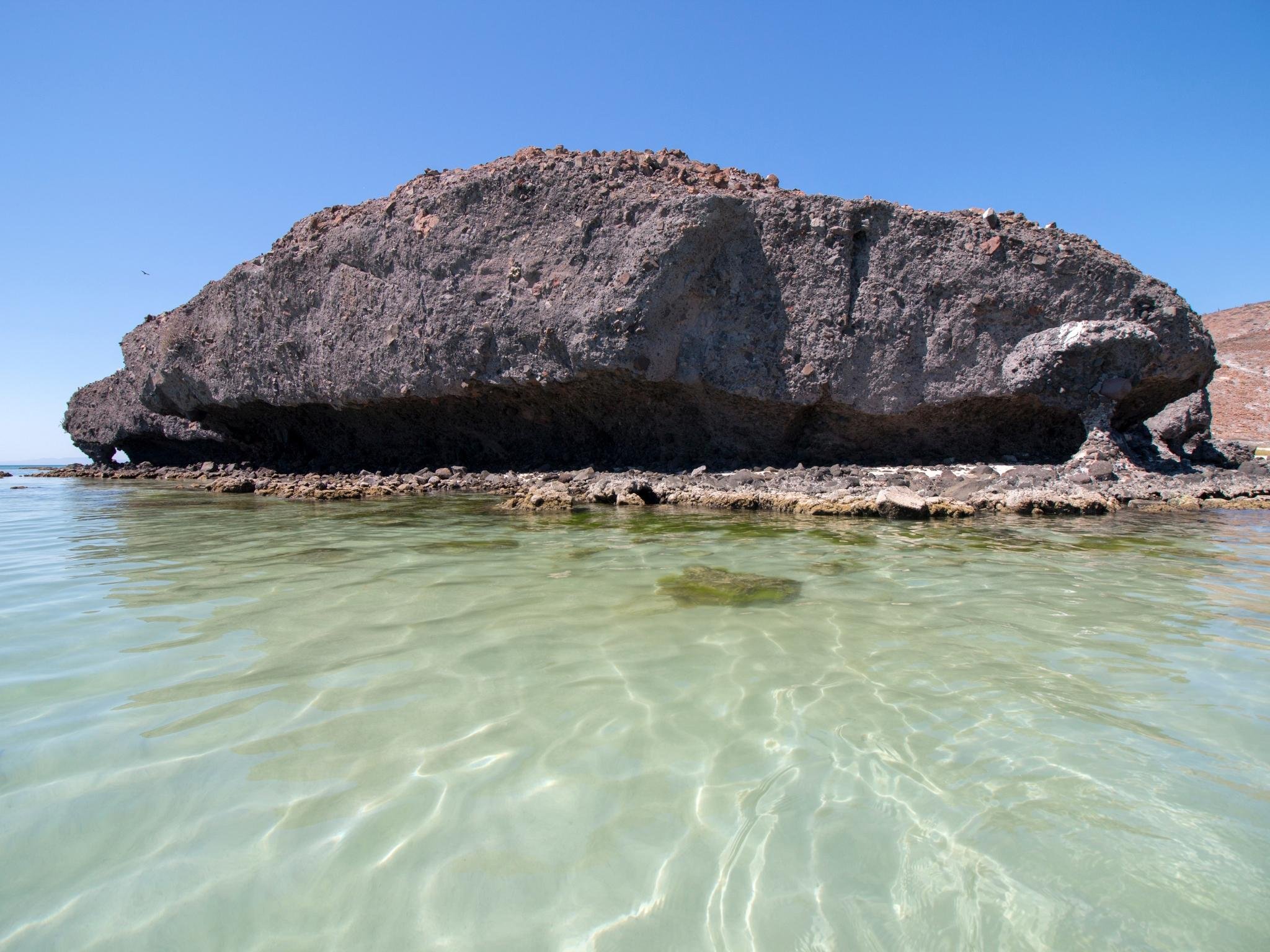 La Paz, Balandra Beach & Todos Santos Day Trip from Los Cabos