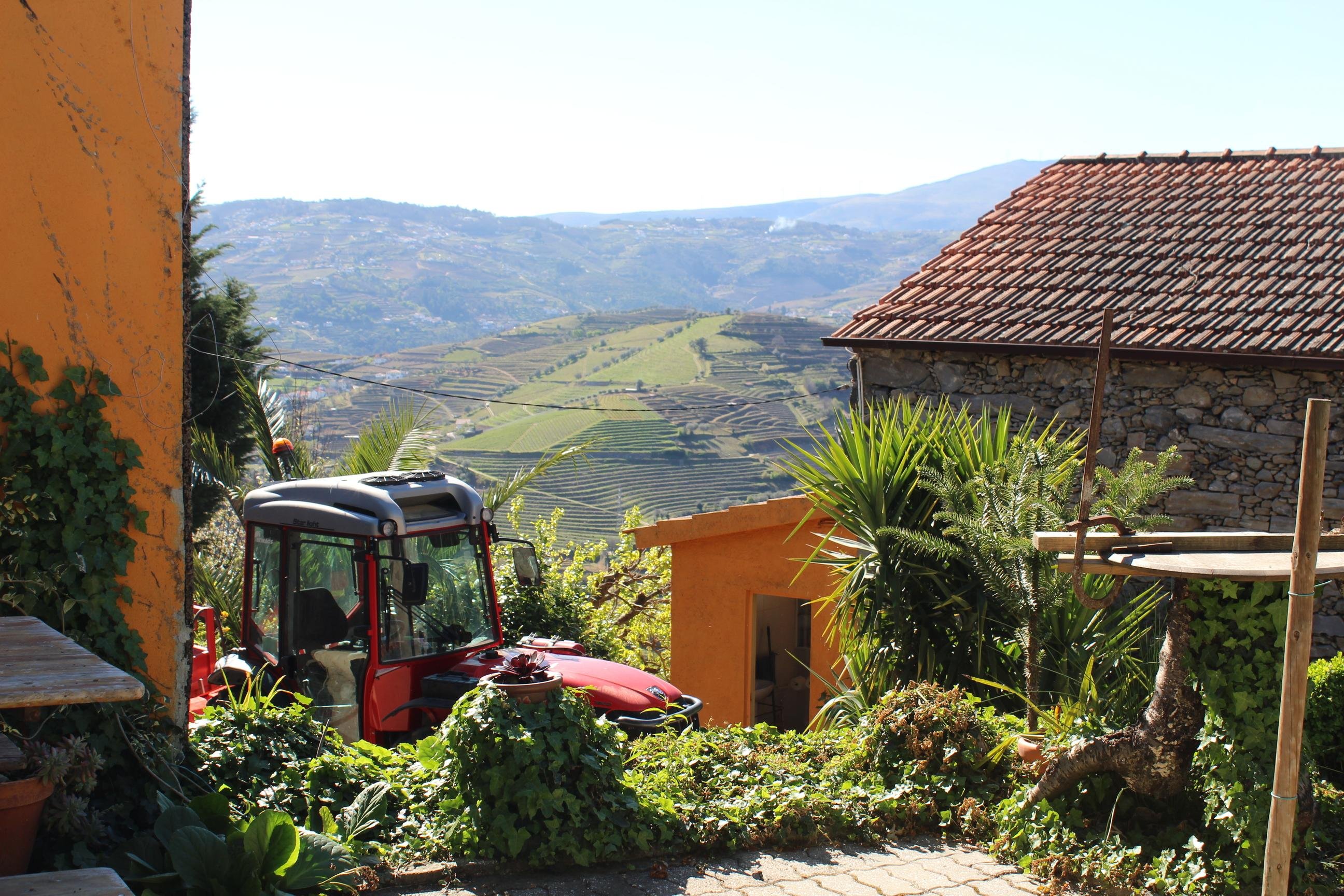 Douro Valley Wine & Cruise Day Trip from Porto