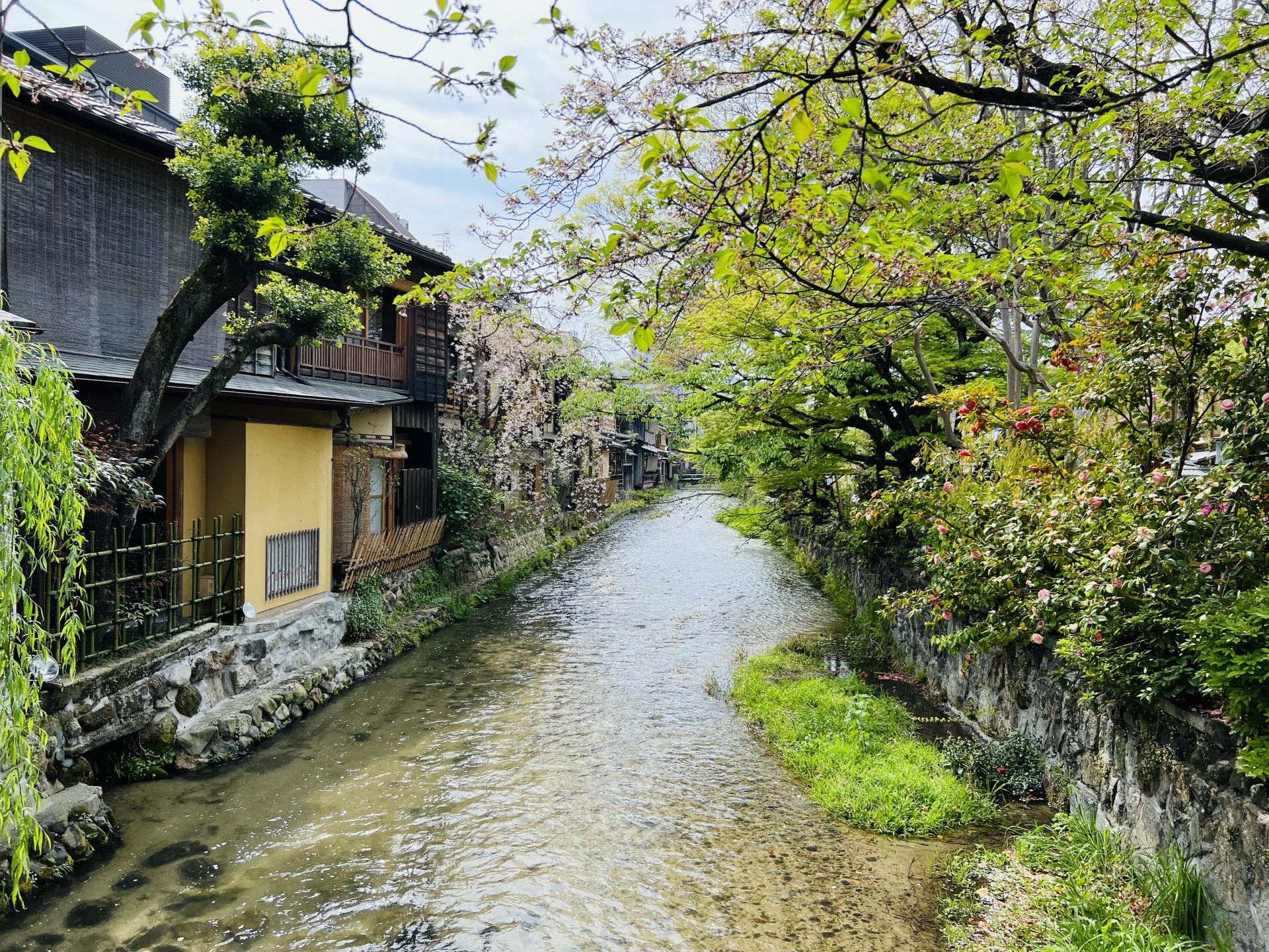 Kyoto: Evening Walking Tour of Gion’s Geisha District