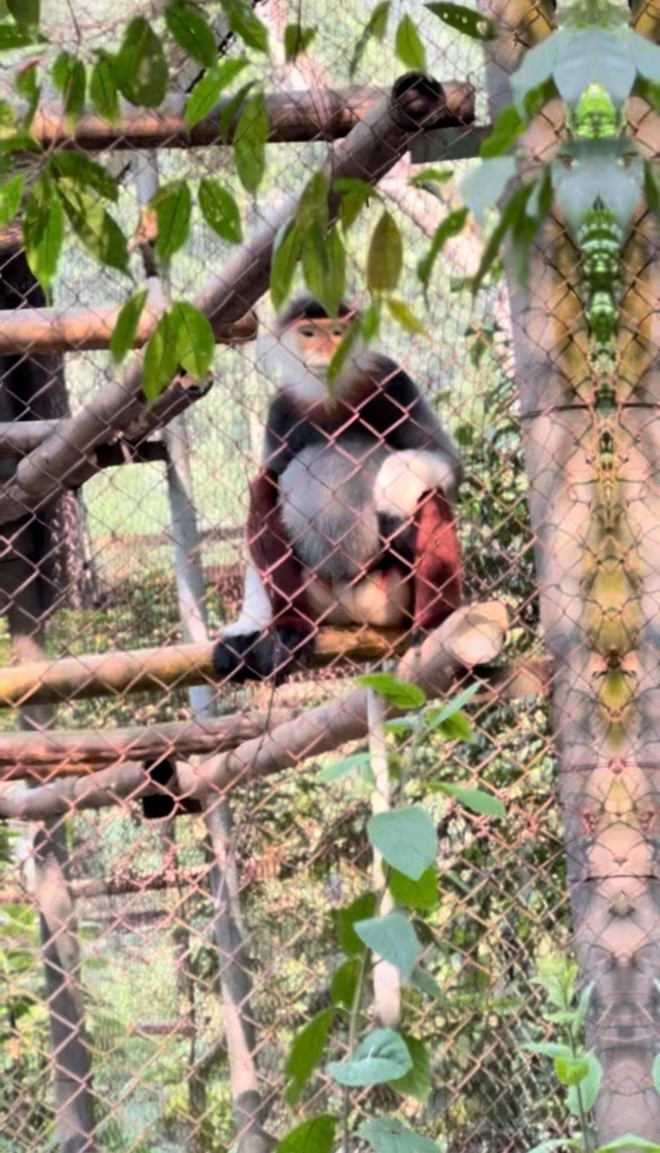 Cuc Phuong National Park Day Trek & Bear Sanctuary from Ninh Binh