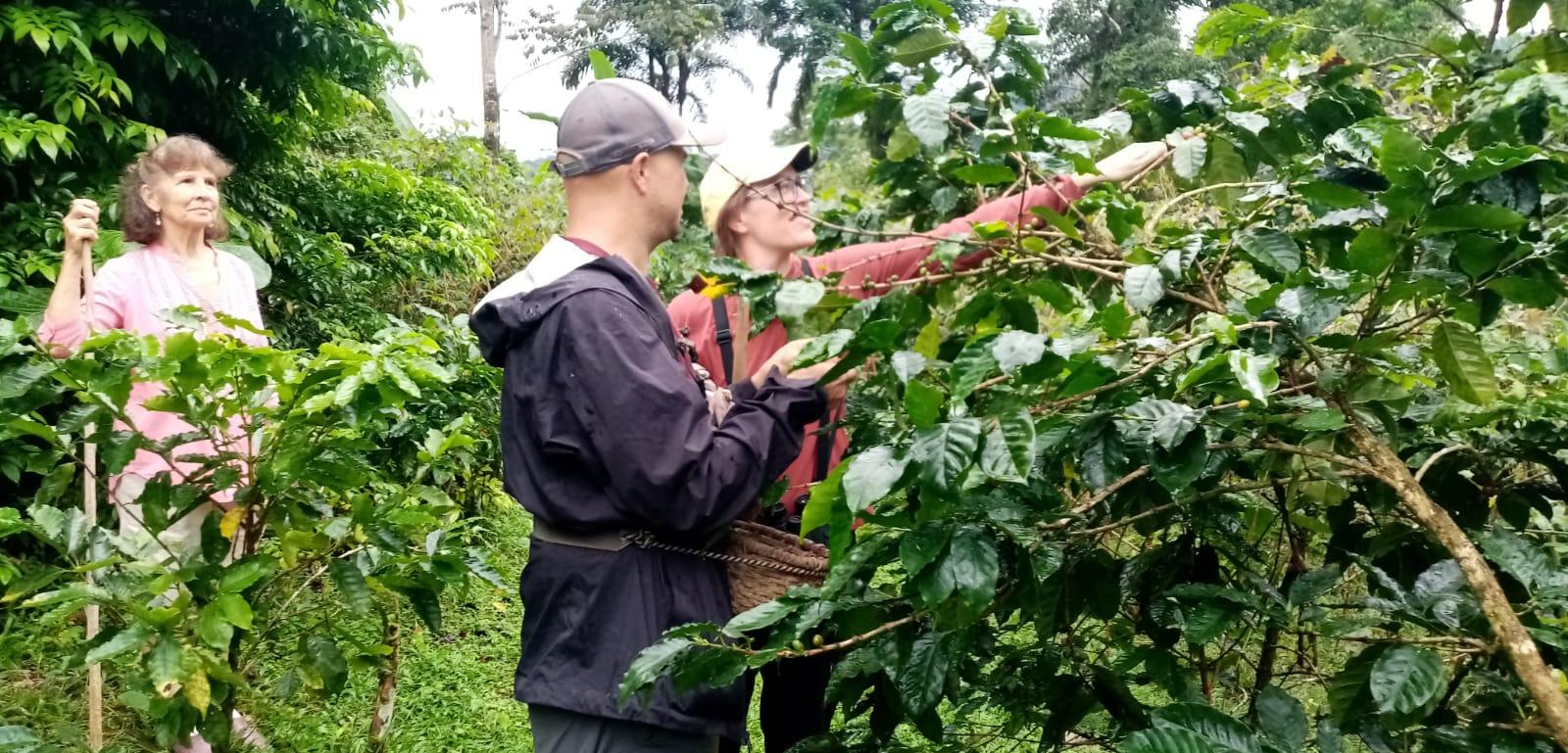 Coffee & Chocolate Farm Experience at Finca La Esperanza