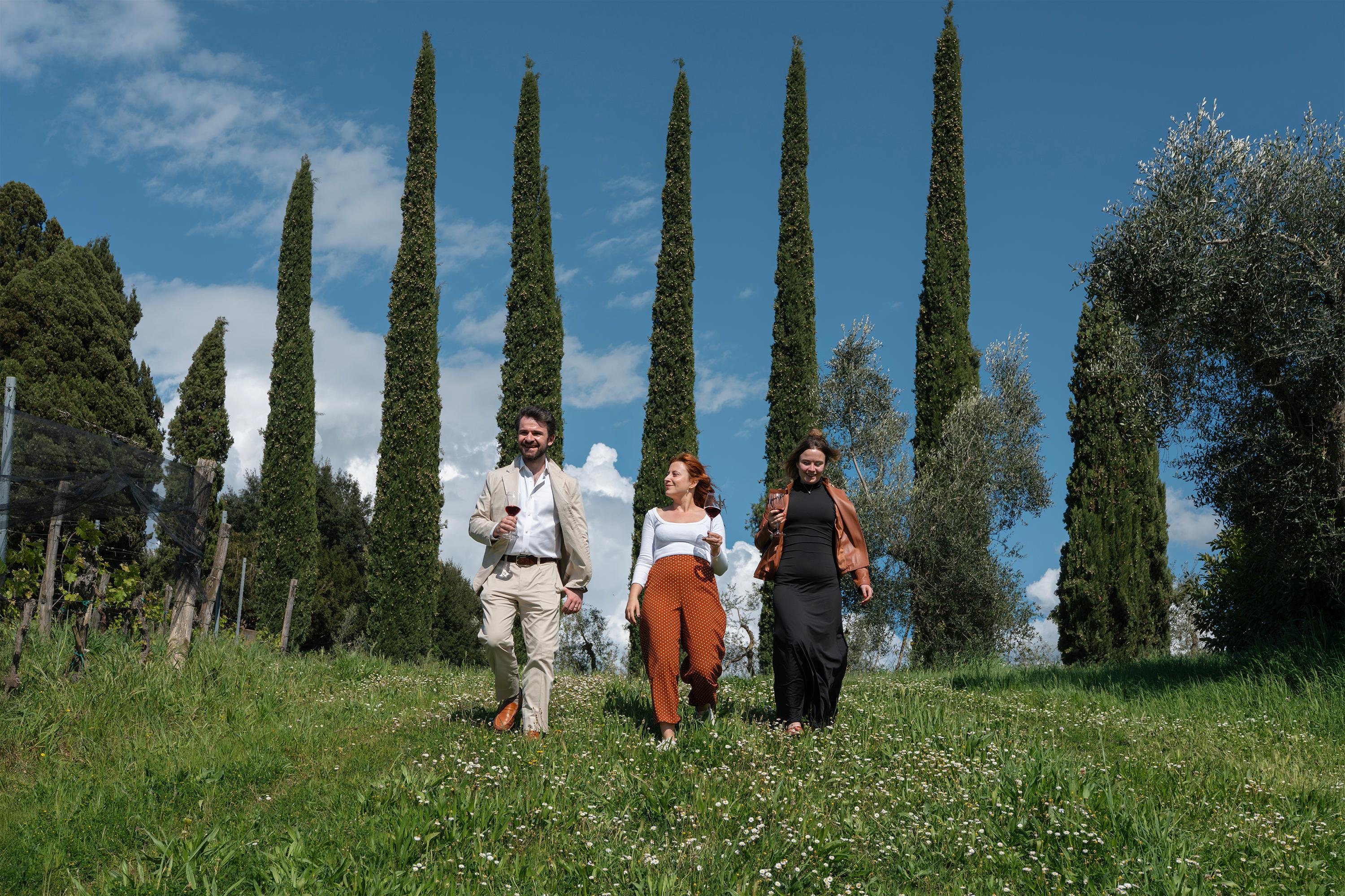 Organic Winery Experience in Tuscan Countryside