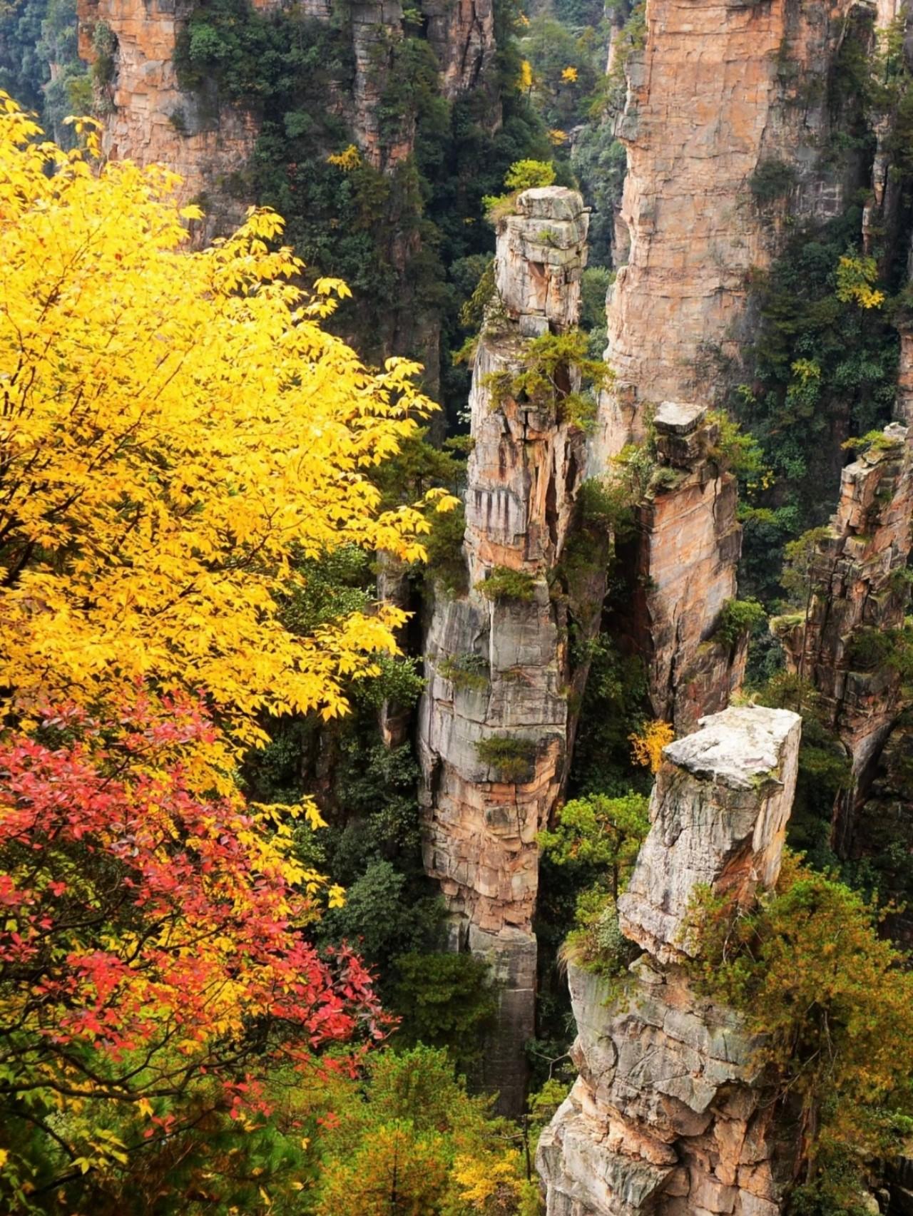 Zhangjiajie Glass Bridge, Avatar Mountains & Tianmen Private Day Trip