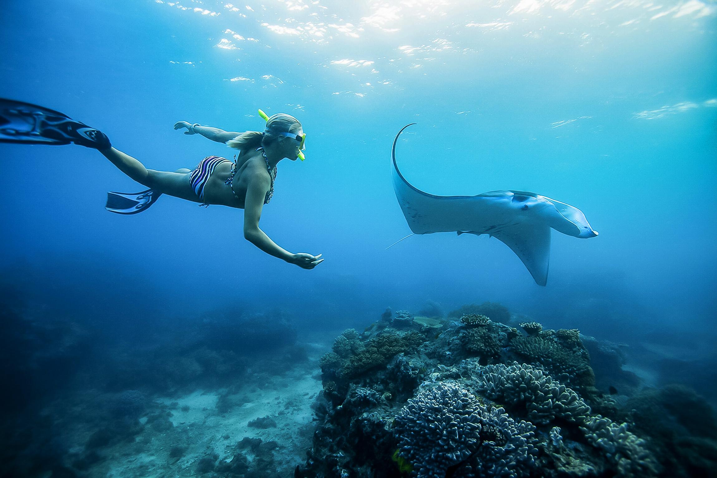 Nusa Penida Manta Ray Snorkeling & Lembongan Island Day Trip