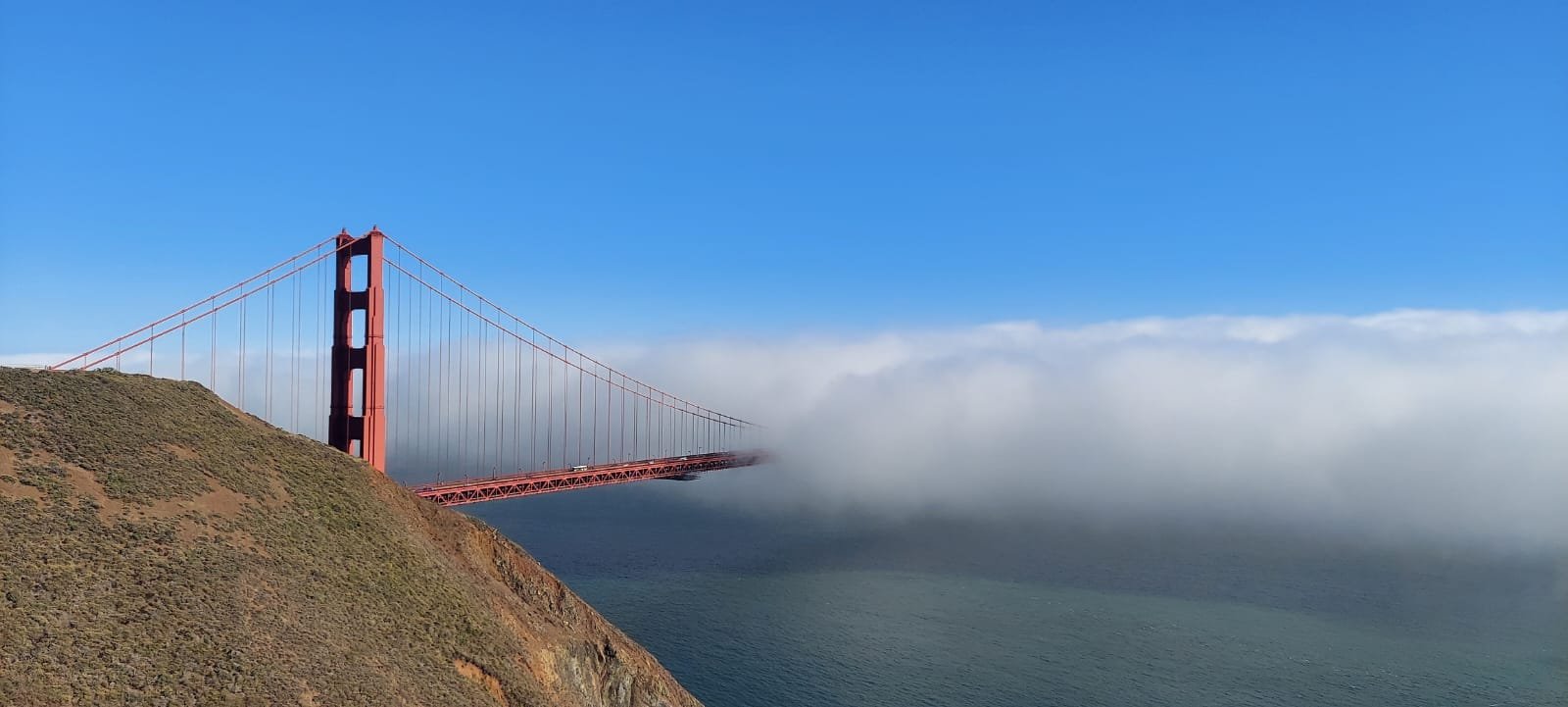 Muir Woods, Sausalito, and Exclusive Alcatraz Night Tour