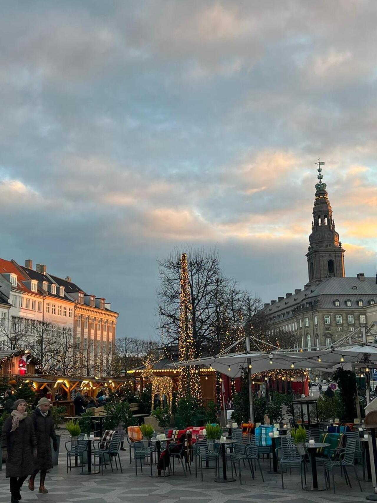 Private Christmas Walking Tour with Tivoli Gardens Access