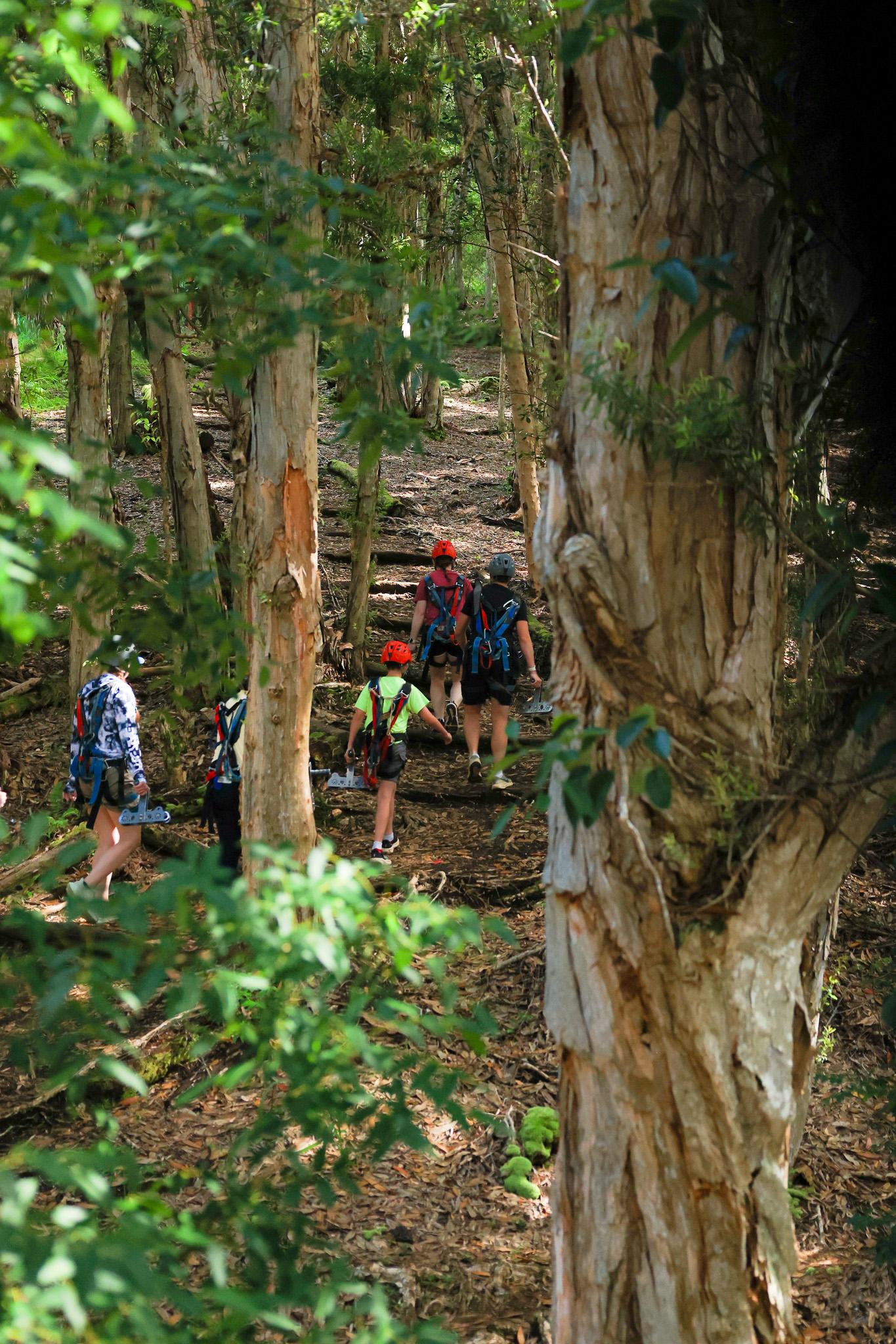 Helmeted guests walking uphill through a wooded section of Koloa Zipline