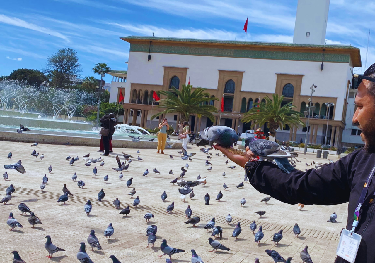 Full-Day Casablanca Cultural Trip from Marrakech
