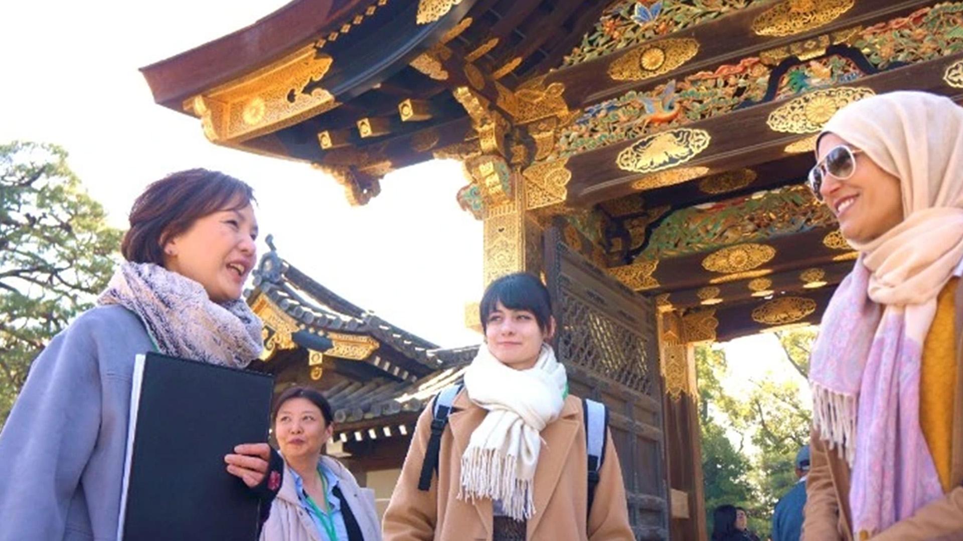 Kyoto Nijo Castle: UNESCO World Heritage Small-Group Guided Tour