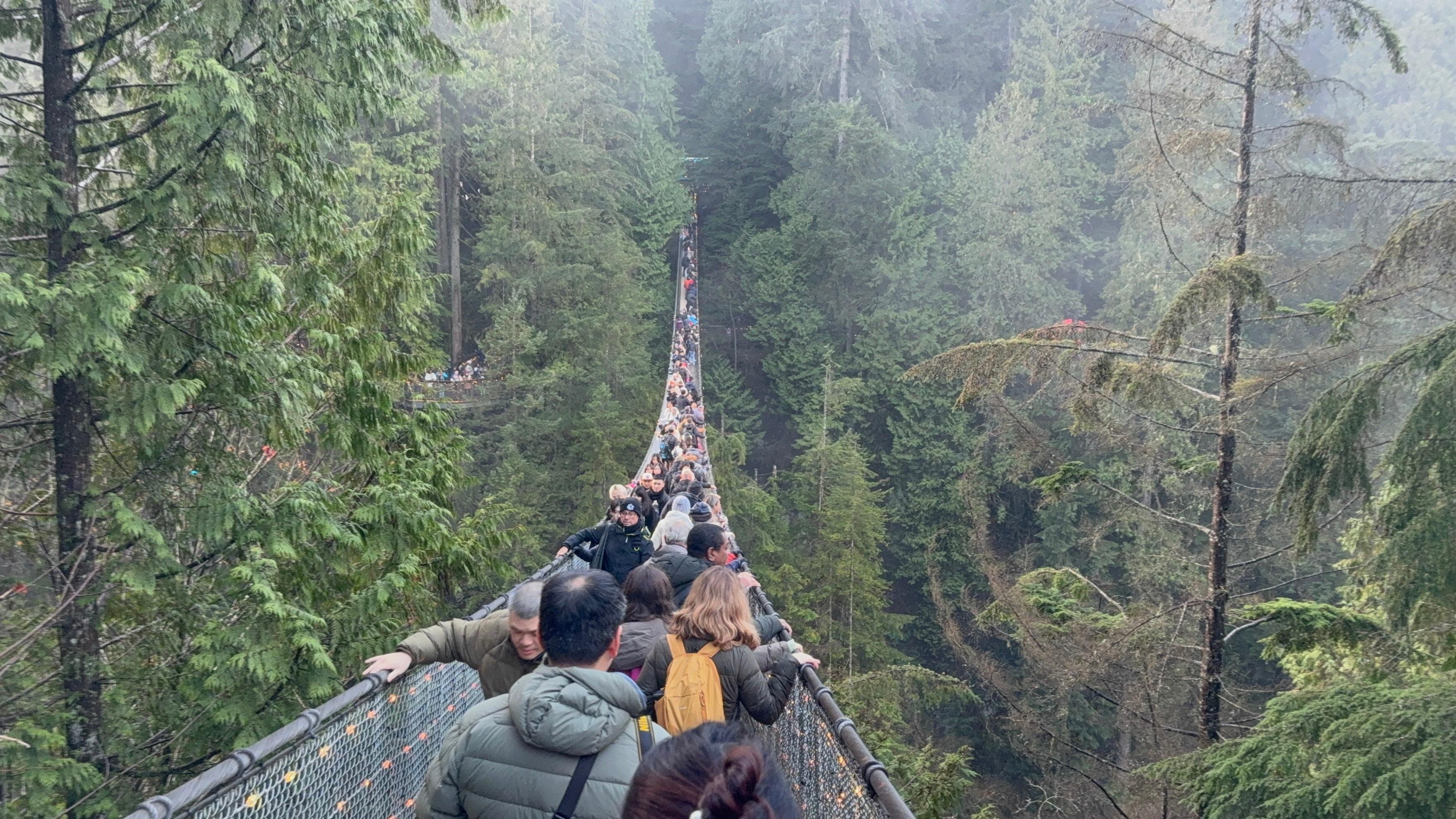 Capilano Suspension Bridge & Stanley Park Small Group Tour