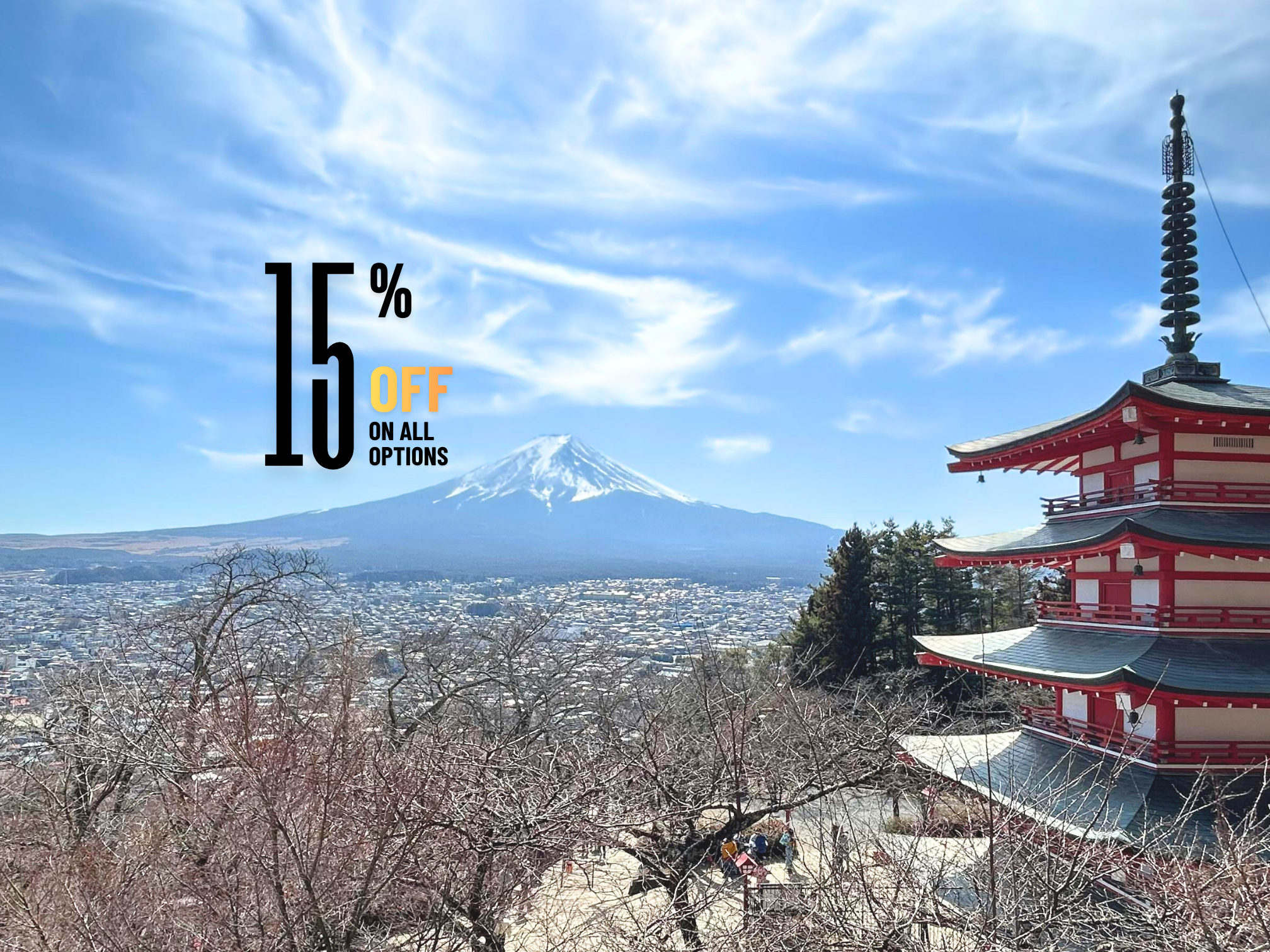 Private Mt. Fuji & Hakone Customizable Day Tour from Tokyo
