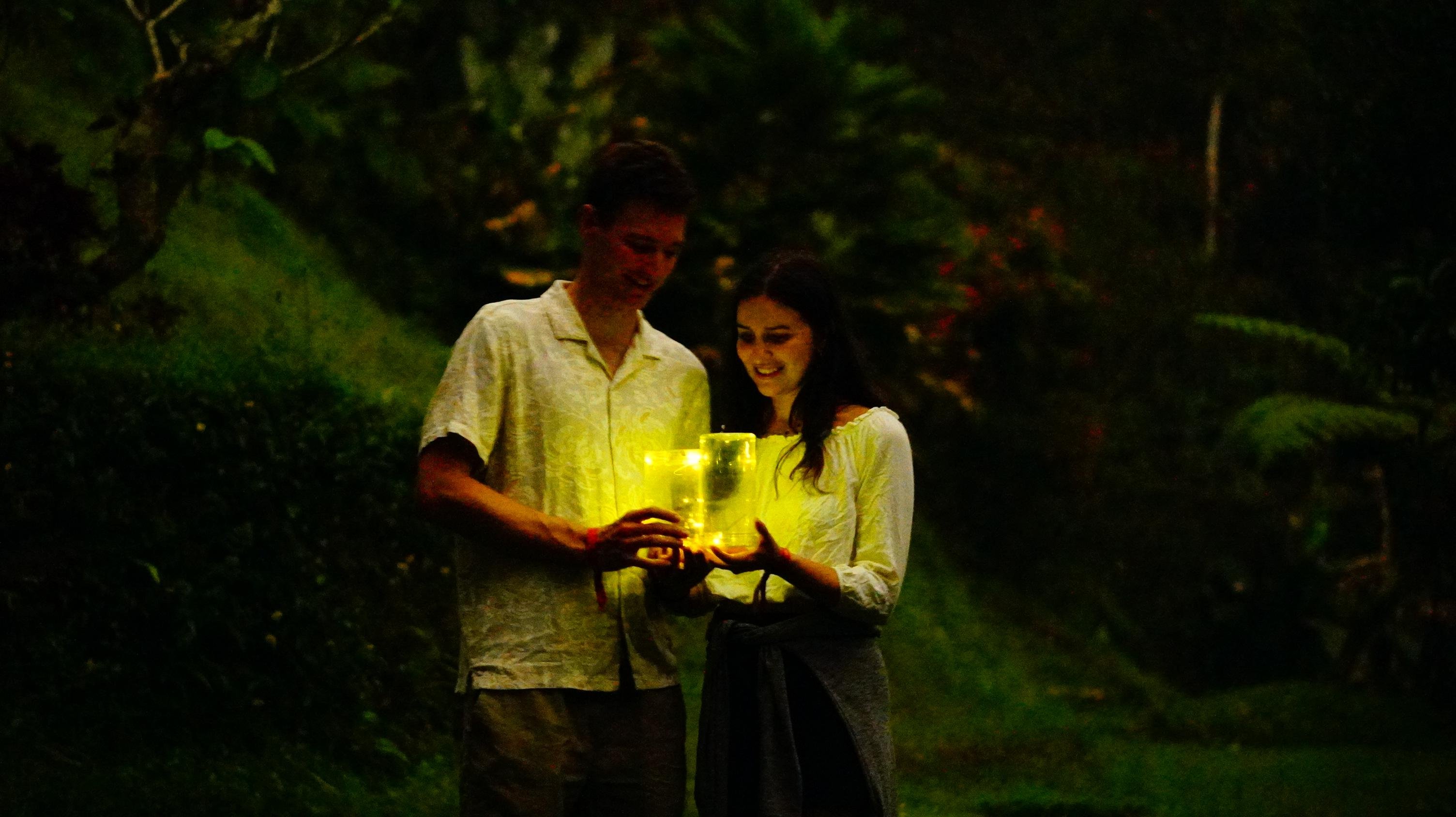 Evening Firefly Experience in Taro Village