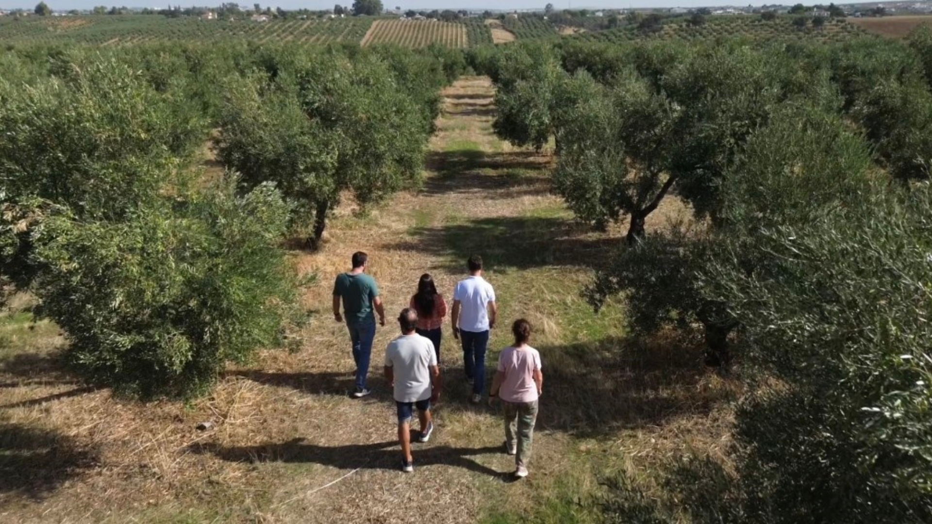 food tour in Córdoba — photo 16