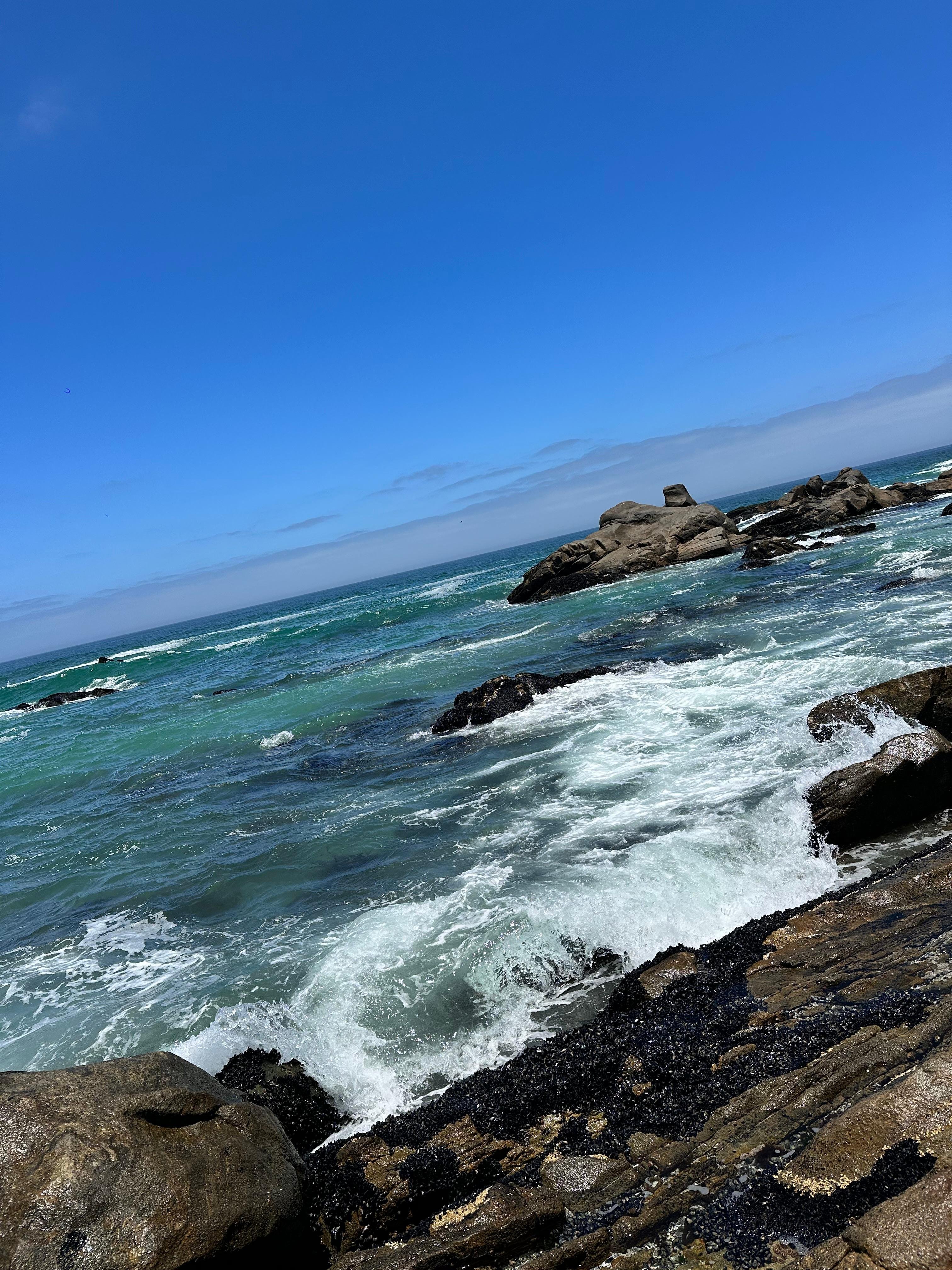 Cape Peninsula Highlights: Table Mountain, Penguins & Cape Point