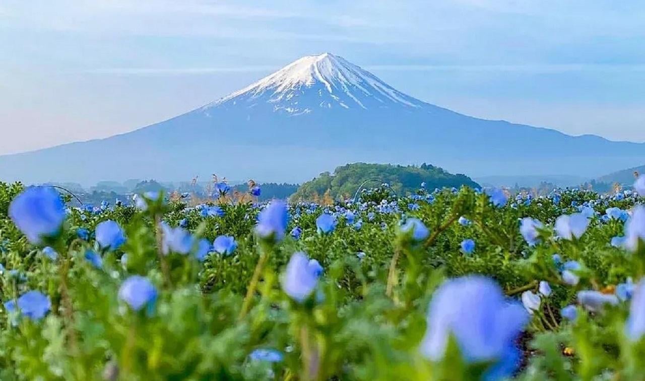 Mt. Fuji & Lake Kawaguchiko Full-Day Tour with Ropeway & Matcha