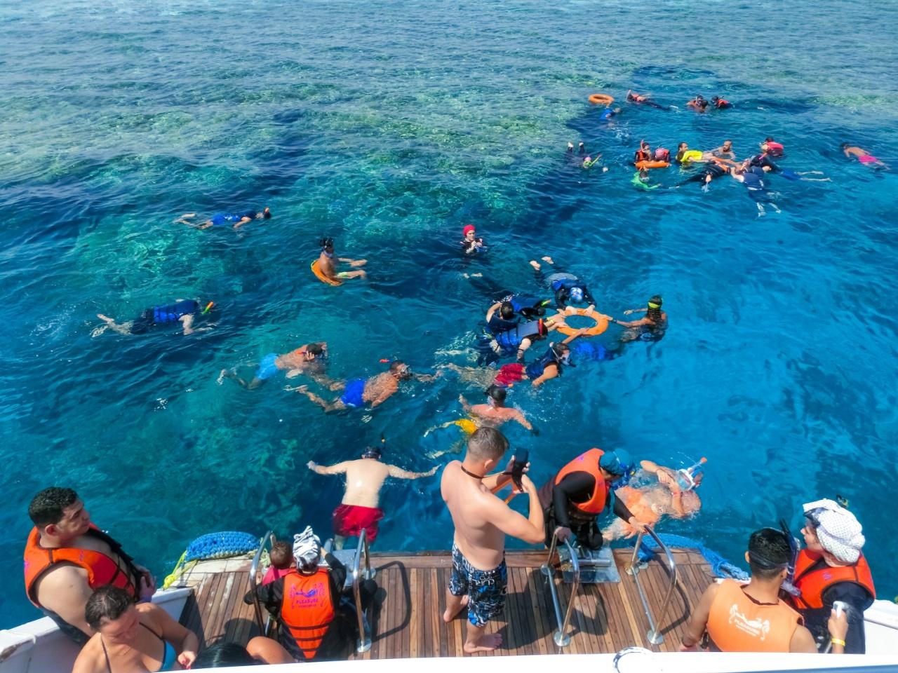 Tiran Island Snorkel & Dive Cruise from Sharm El-Sheikh with Buffet Lunch
