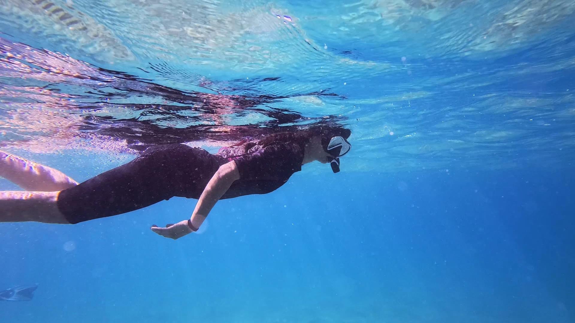 Riviera di Ulisse Snorkeling Adventure