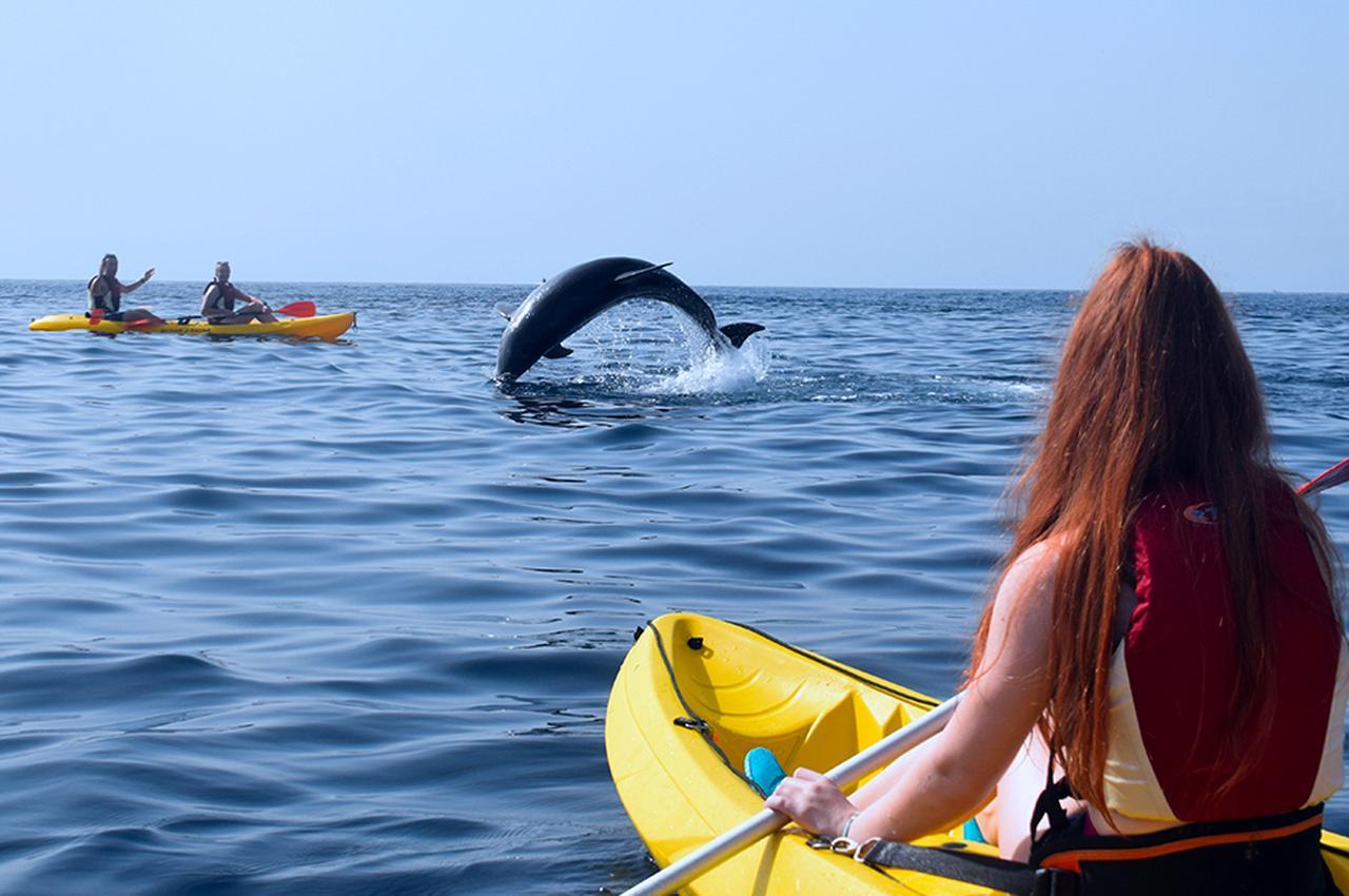 Kayak & Snorkel Tenerife's Volcanic Coast