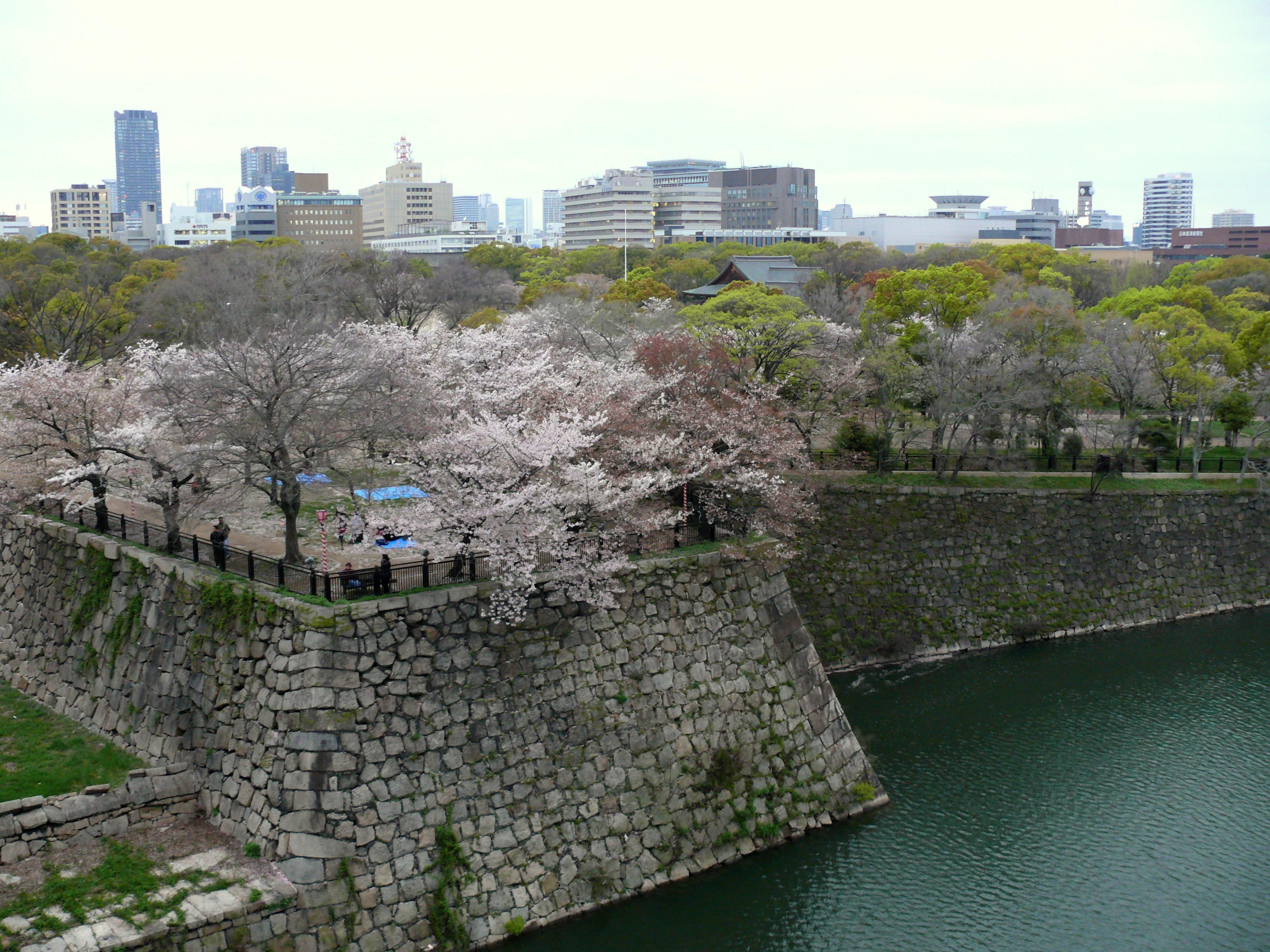 Osaka Castle & Samurai Heritage Walking Tour