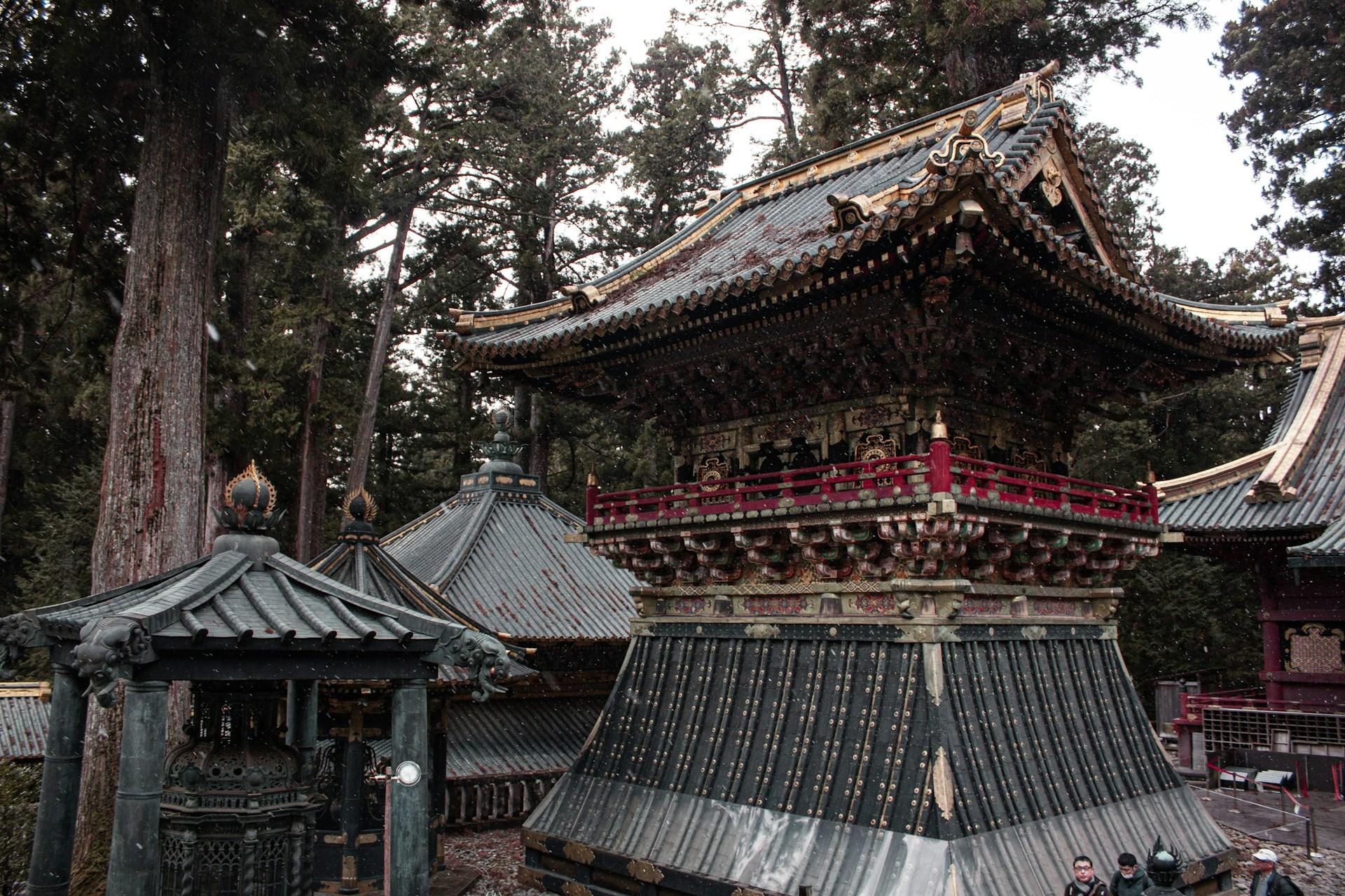 Tokyo to Nikko: Private Luxury Day Trip to UNESCO World Heritage Sites